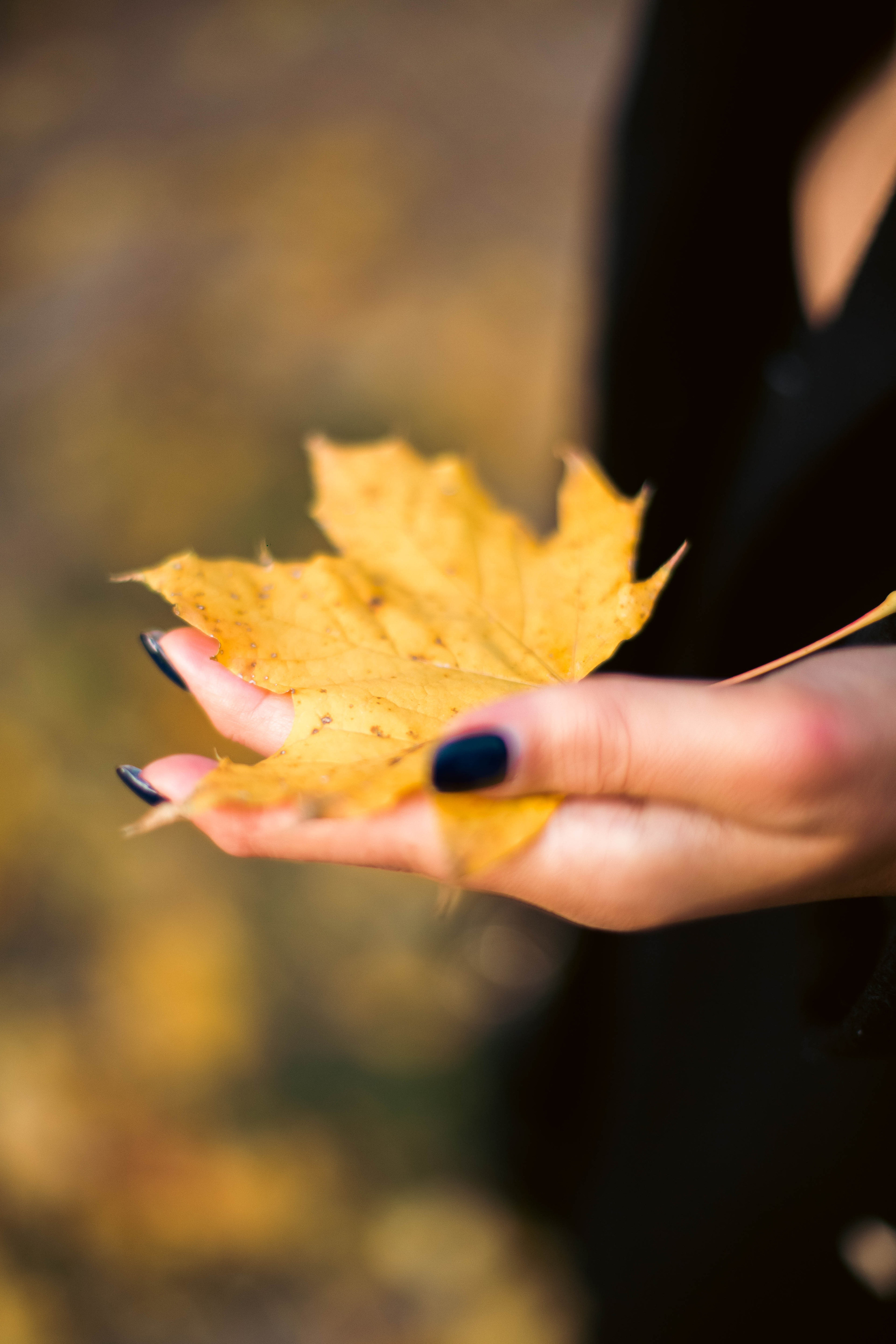 Arzi. Beye Shevkiyeva Photography