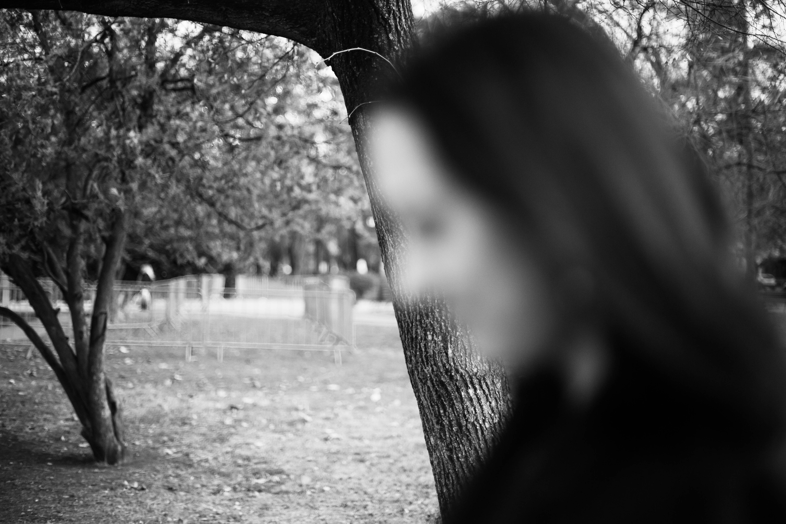 Arzi. Beye Shevkiyeva Photography