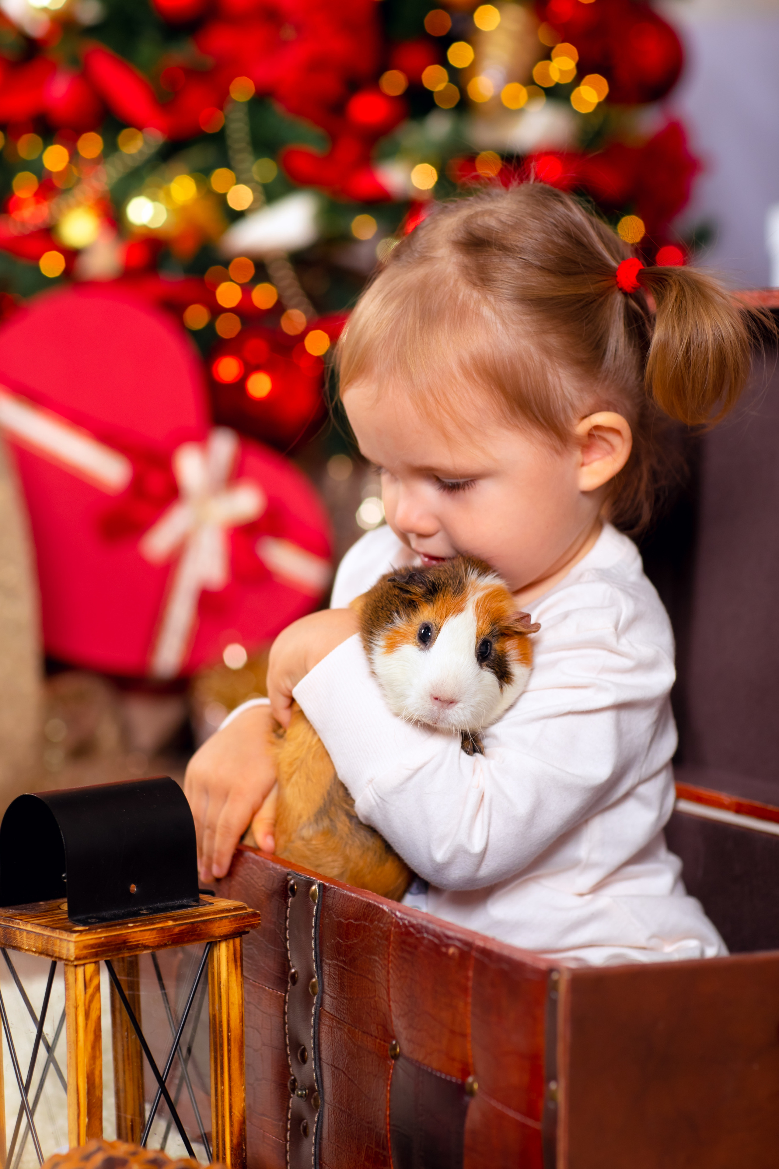 NEW YEAR. Дарья Бухреева — фотограф, видеограф и фототерапевт. Москва и мир