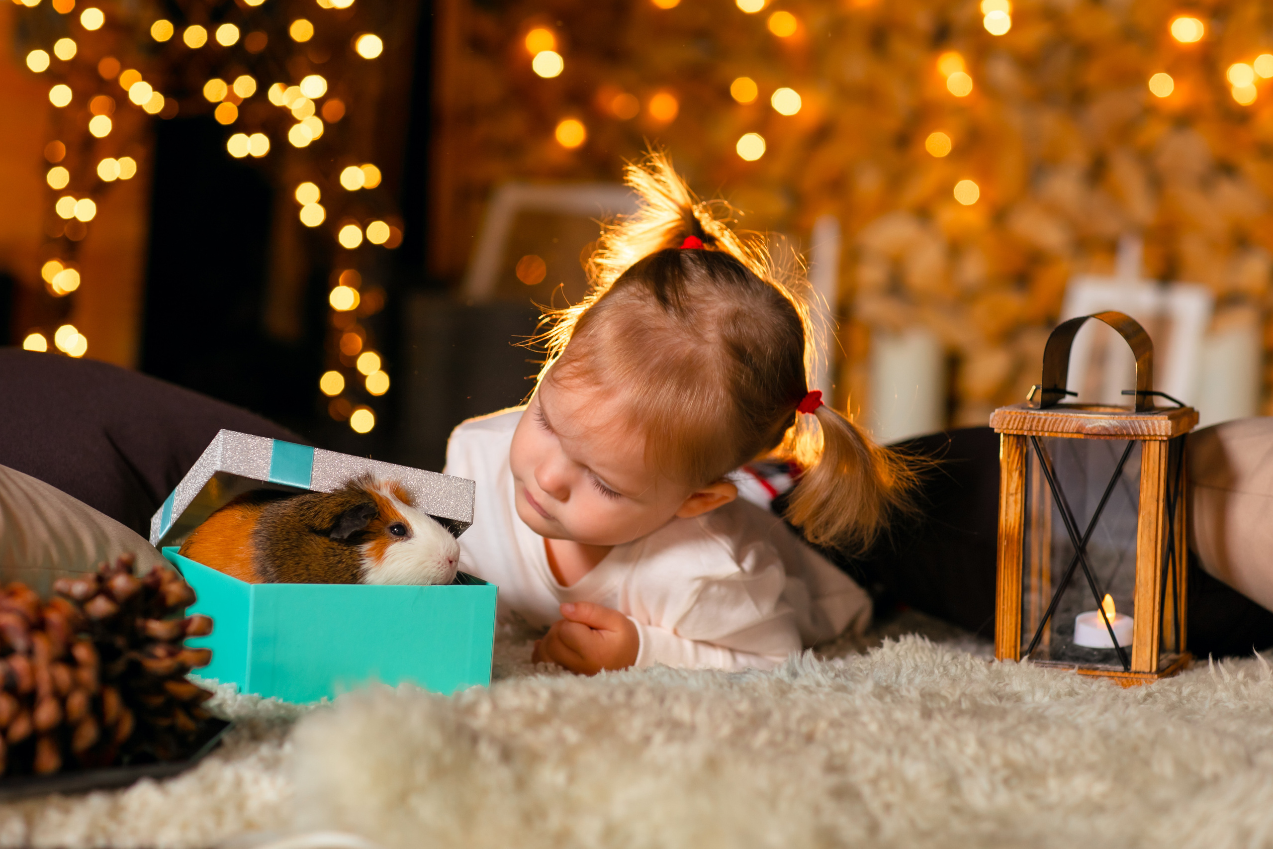 NEW YEAR. Дарья Бухреева — фотограф, видеограф и фототерапевт. Москва и мир