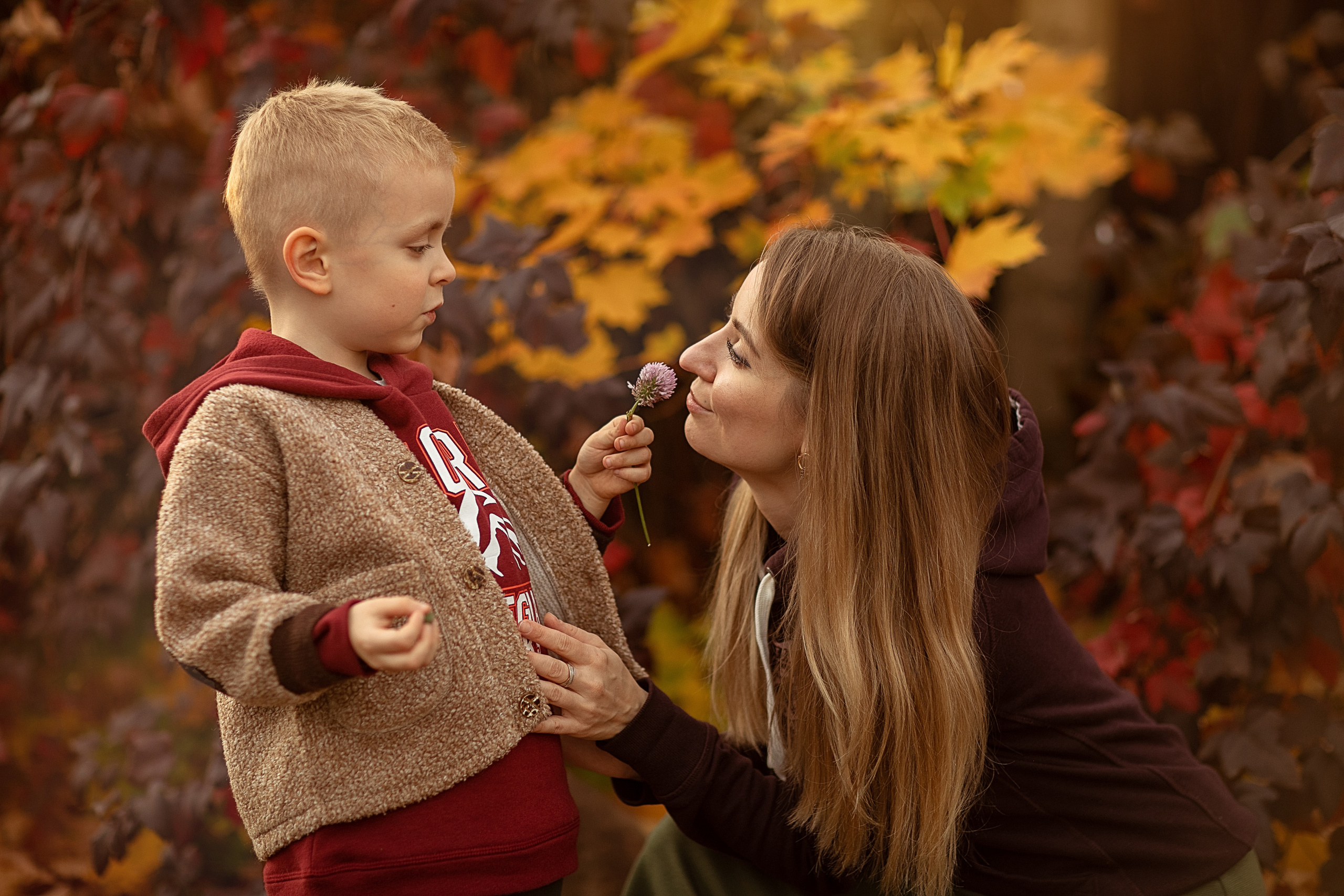 Где погулять осенью в Лобне?. Дарья Бухреева — фотограф, видеограф и фототерапевт. Москва и мир