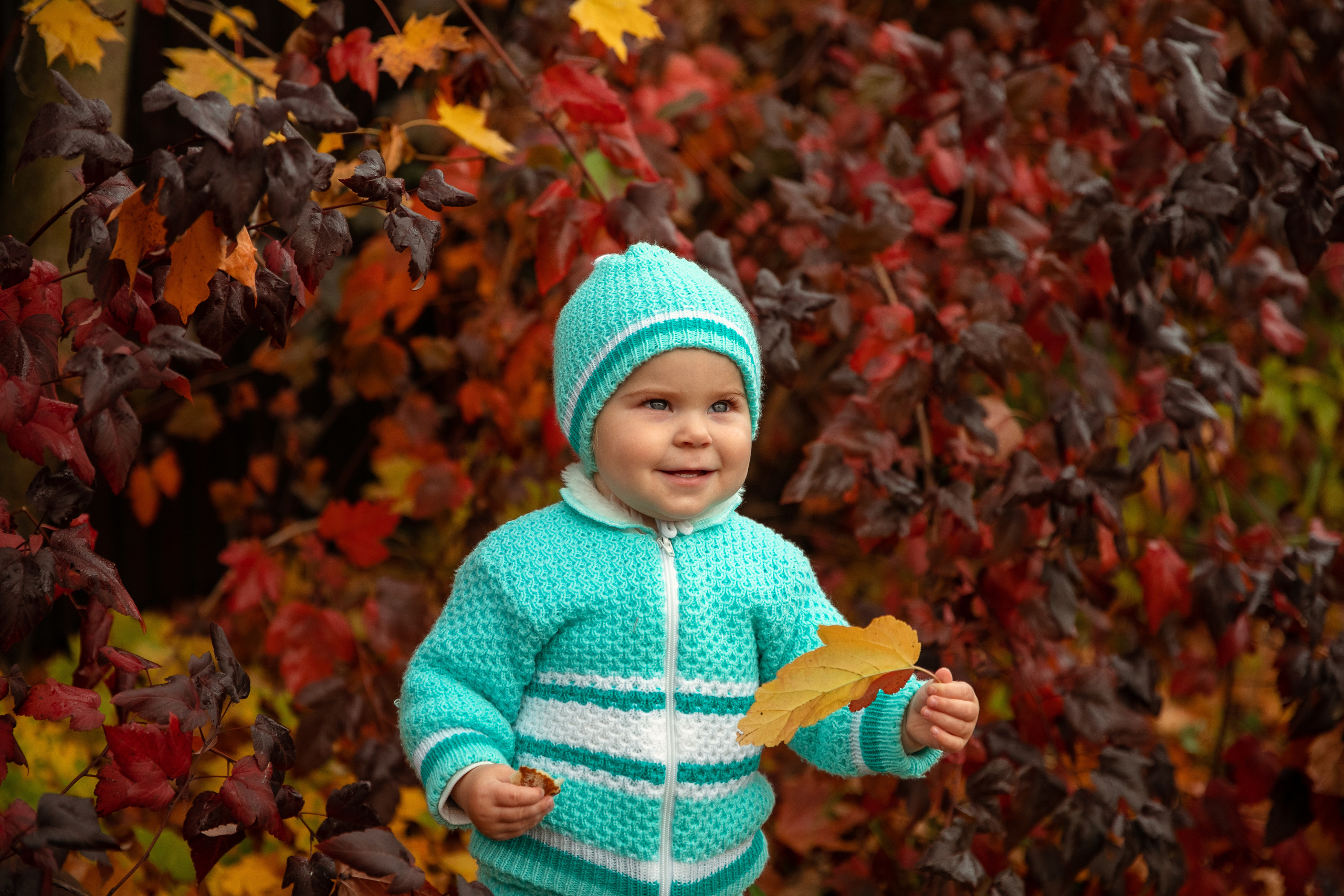 Где погулять осенью в Лобне?. Дарья Бухреева — фотограф, видеограф и фототерапевт. Москва и мир