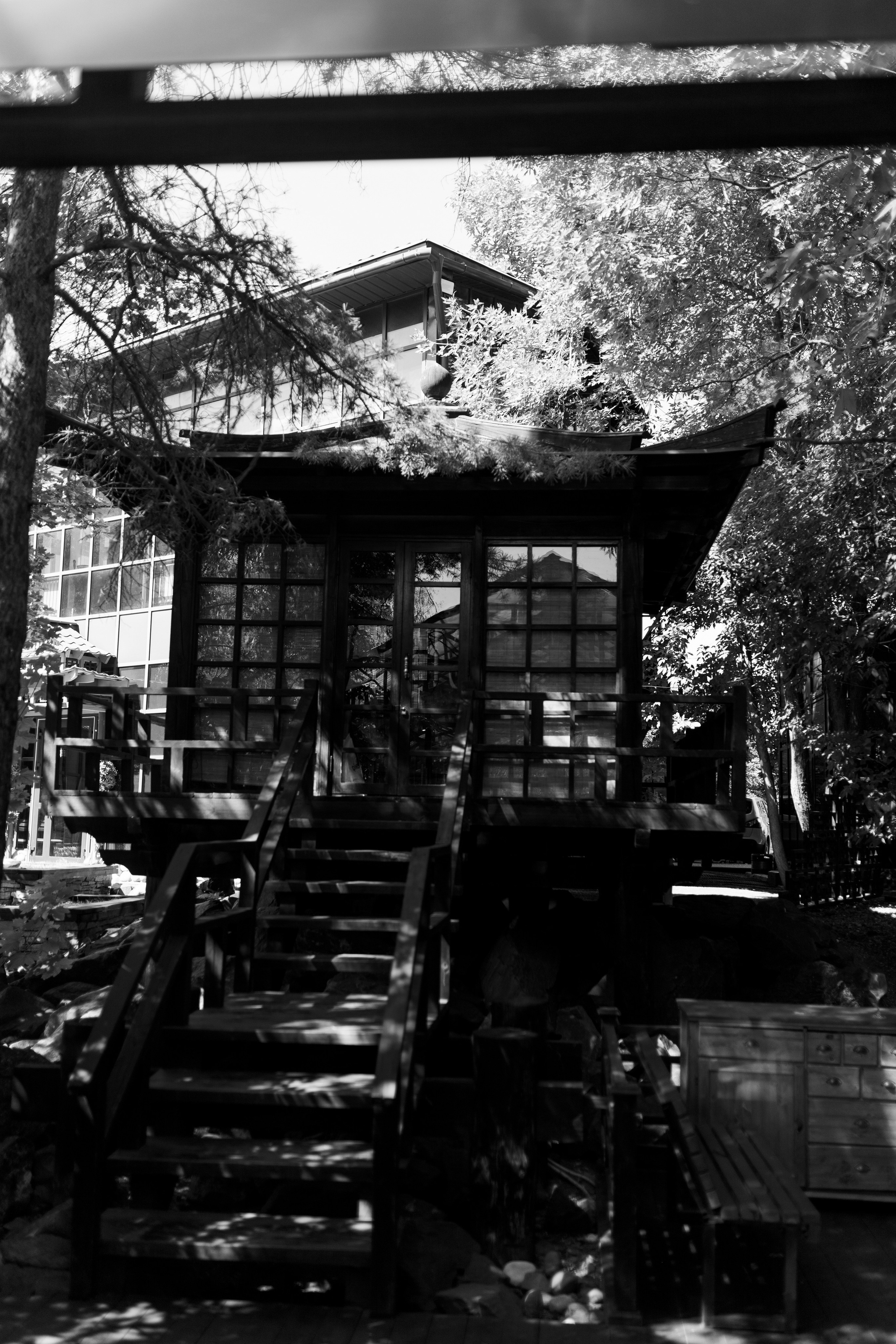 Ярослав и Александра. Фотограф Ольга Харлашина г. Оренбург