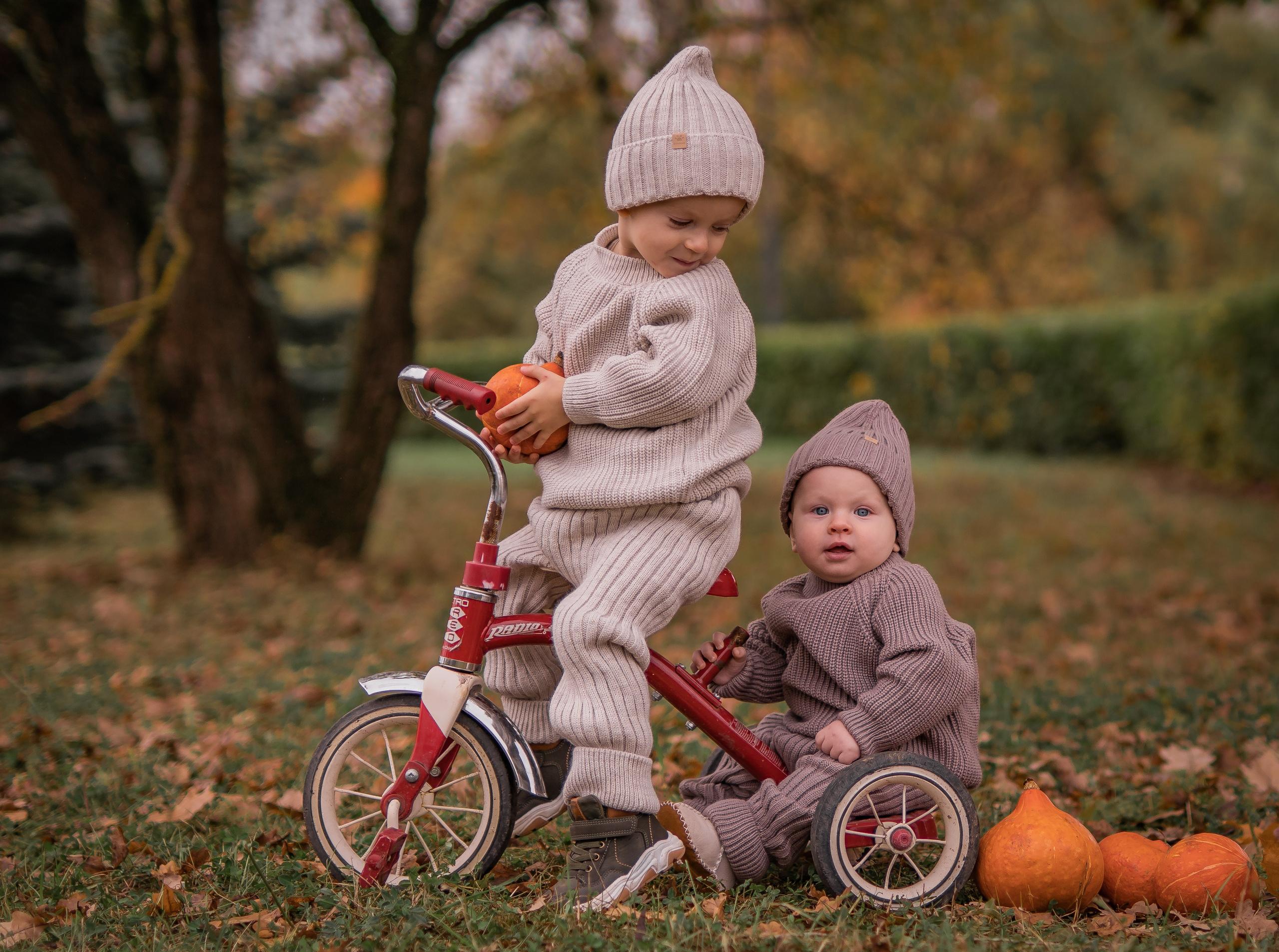 Осенняя история. Семейный фотограф Ефремова Виктория