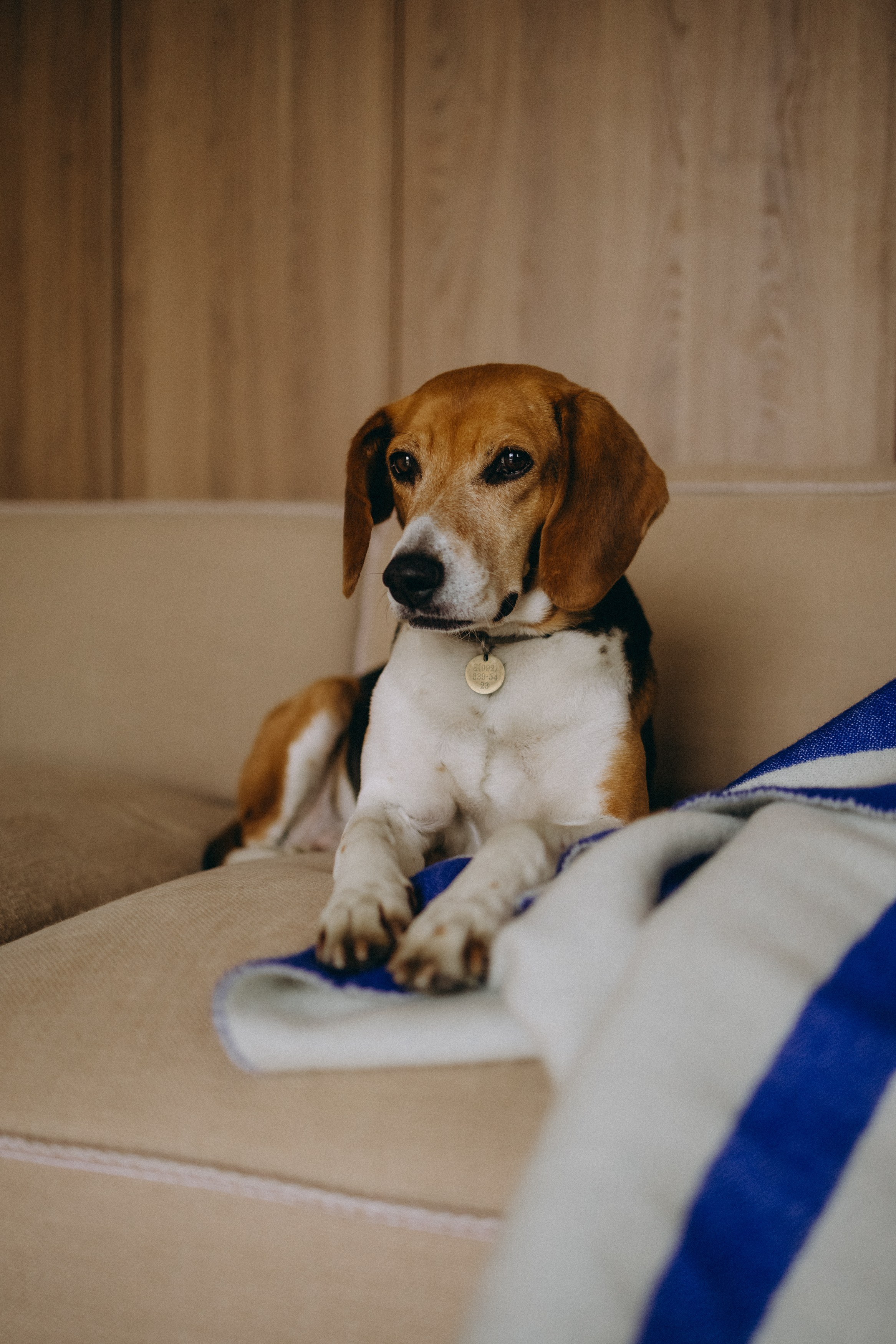 Инна и Ханна. Главная