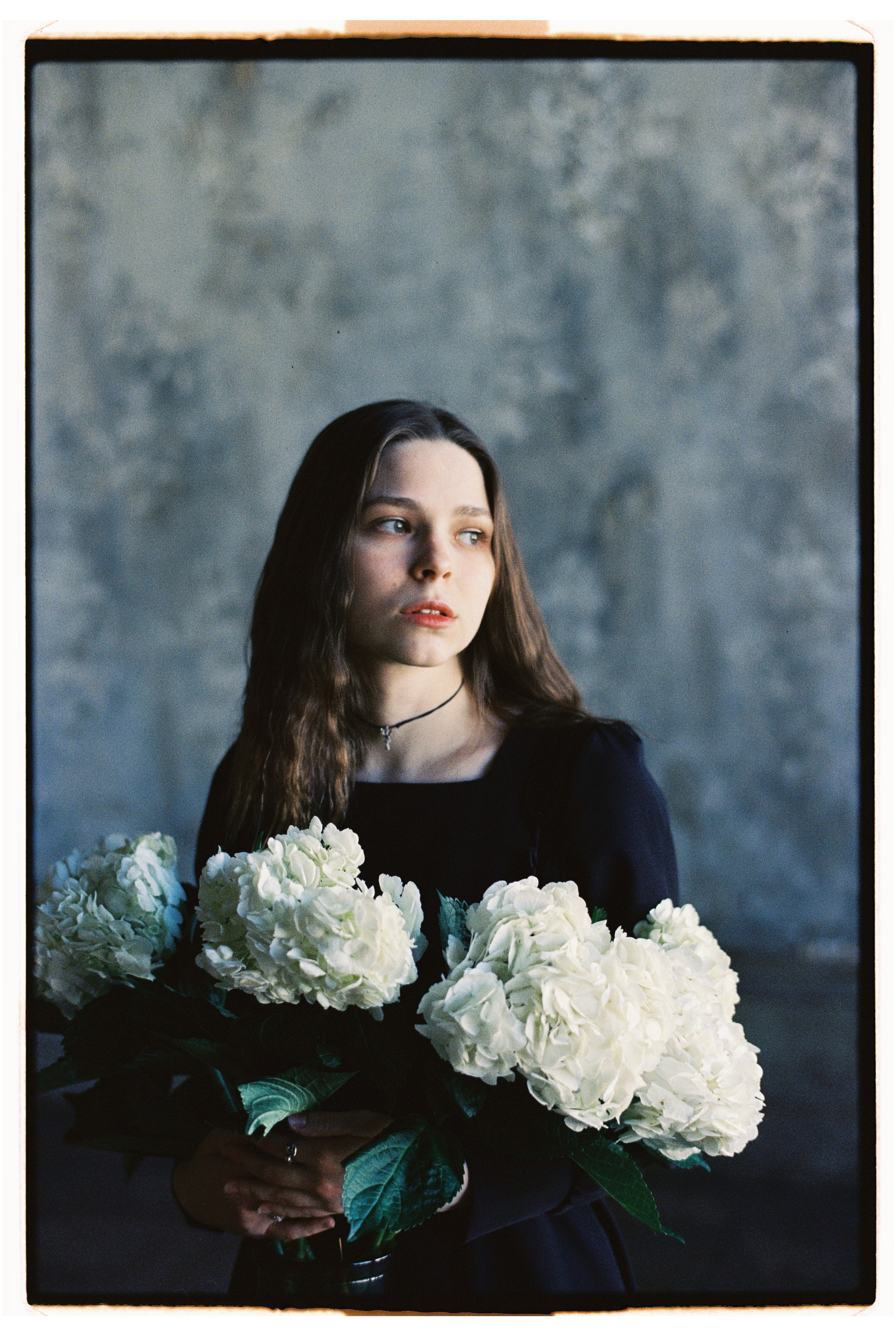 Film. Анастасия Артёмова | Фотограф и учёный