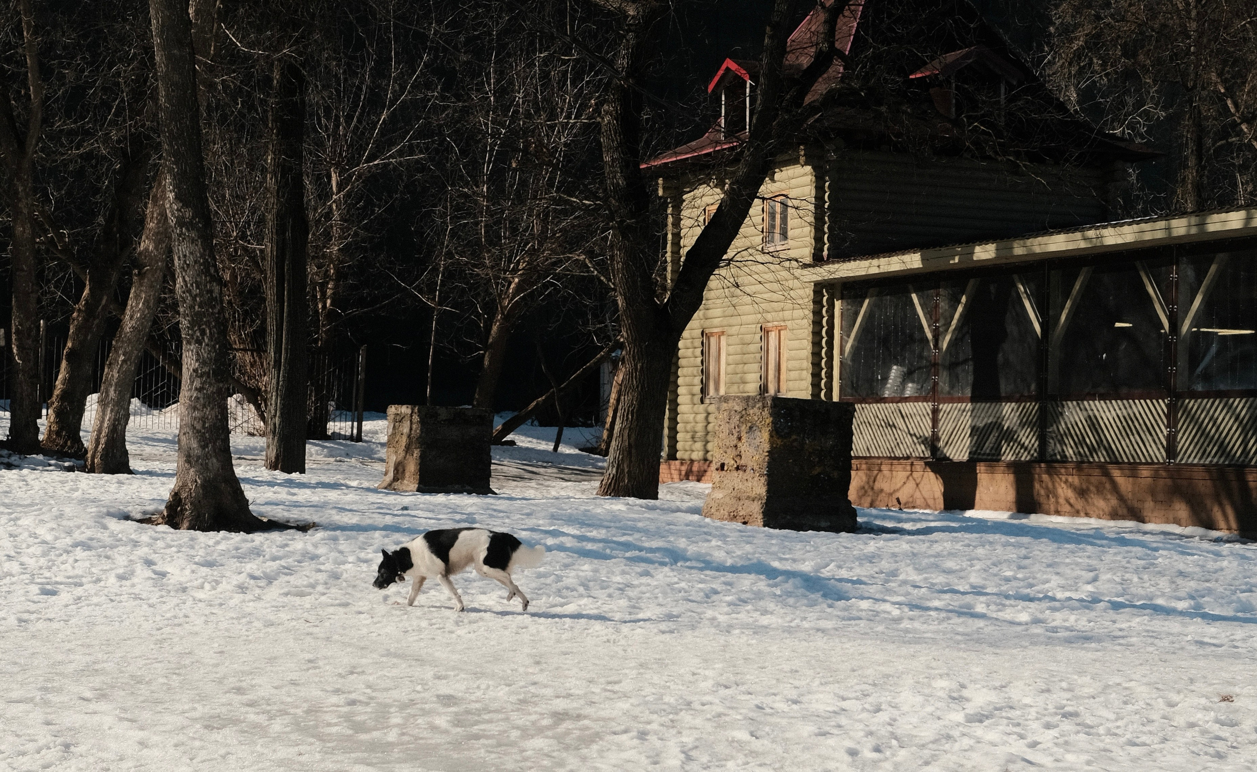 Уличная фотография из Кирова. Фотограф-любитель из Кирова Андрей Погребняк