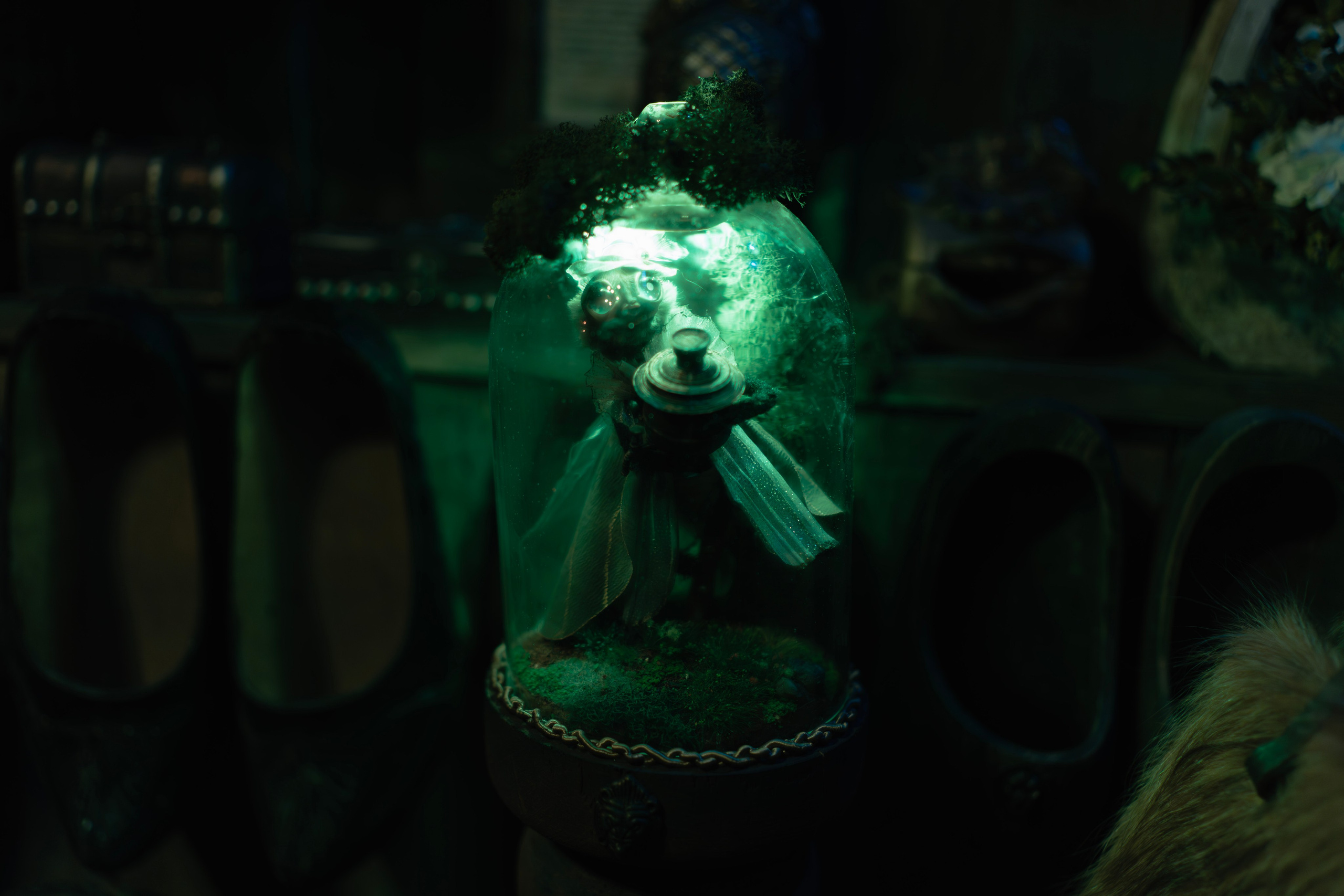 Небылица. Баев Дмитрий — фотограф из СПБ