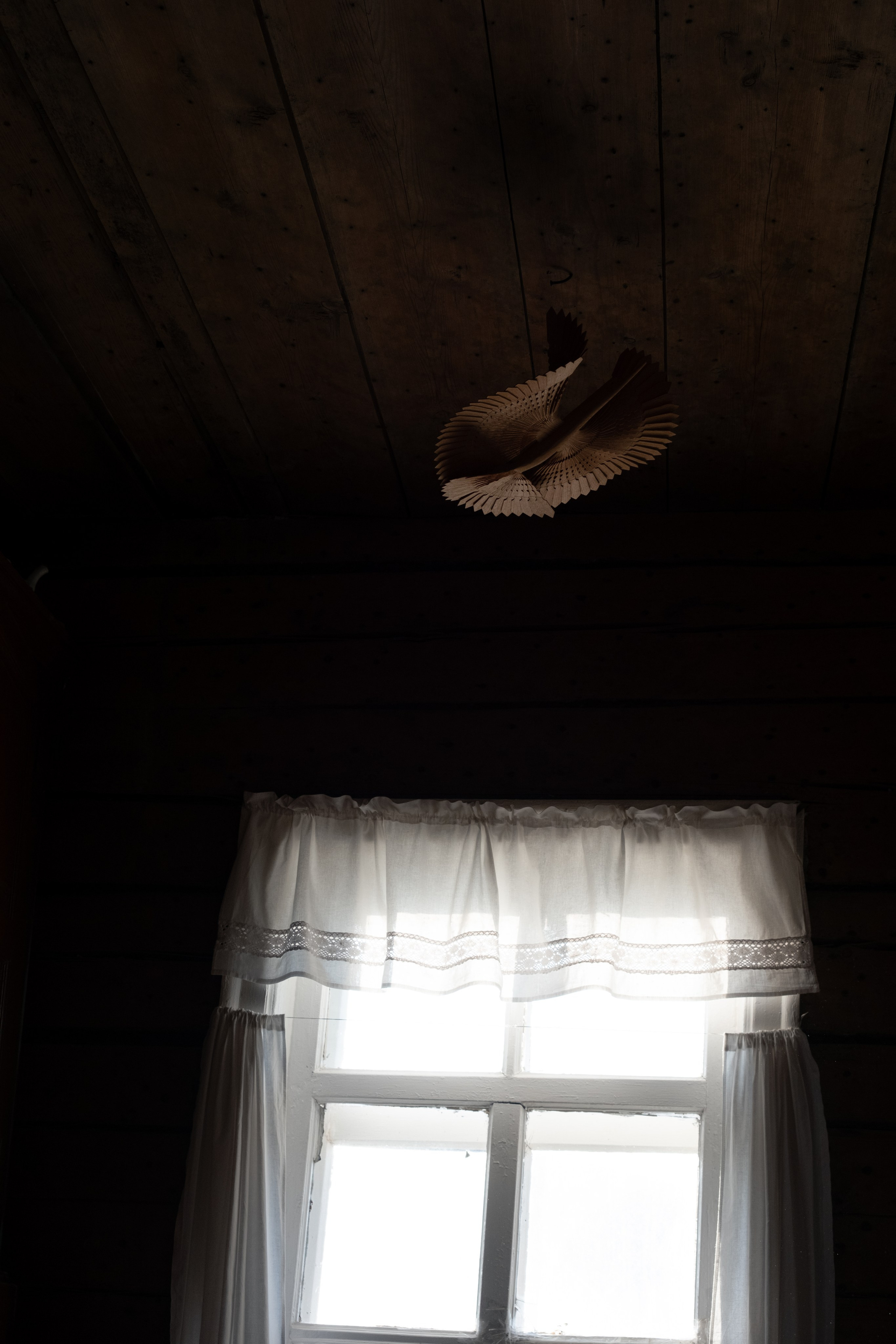 Птица. Кристина — портретный фотограф