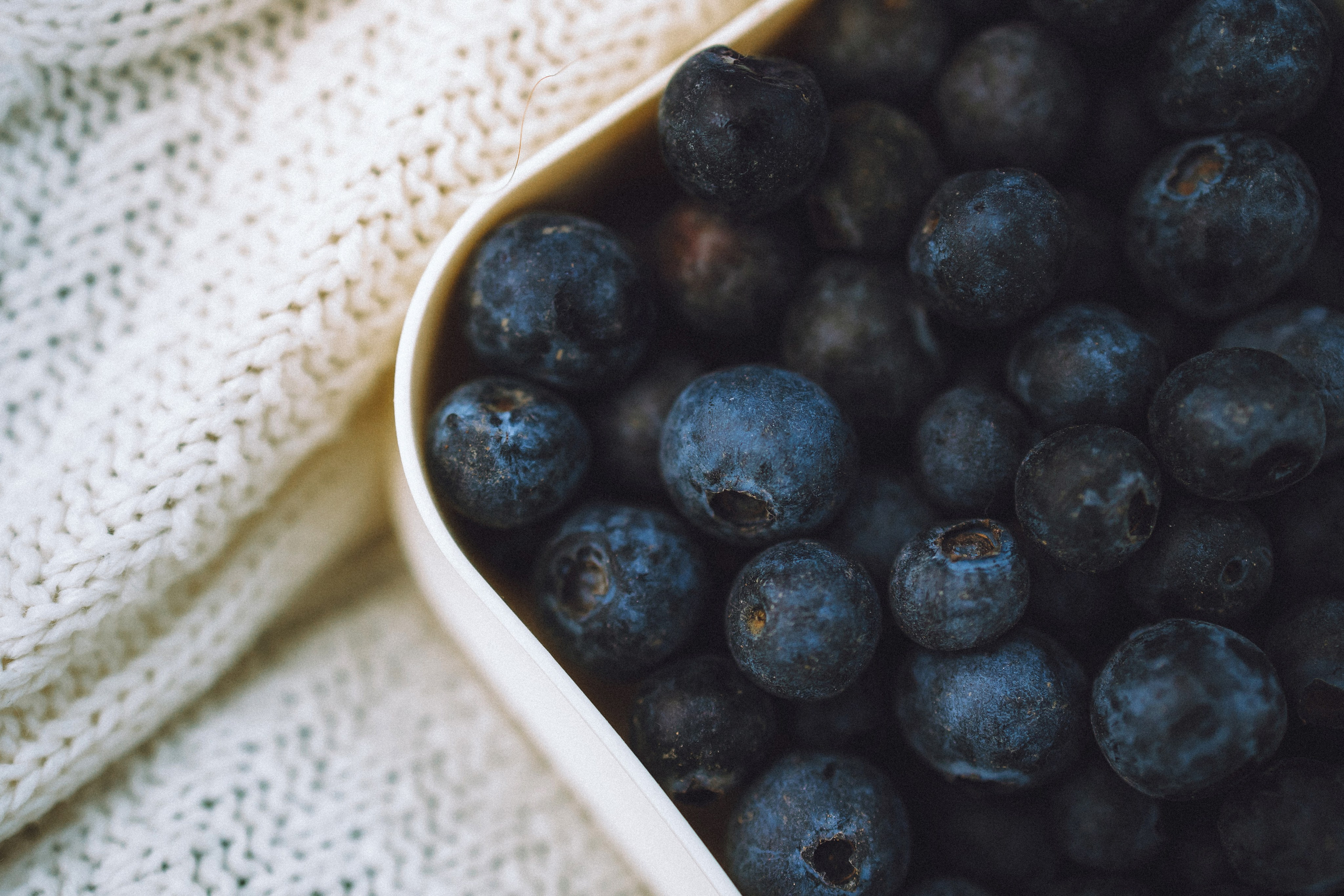 Даша и Дэзи