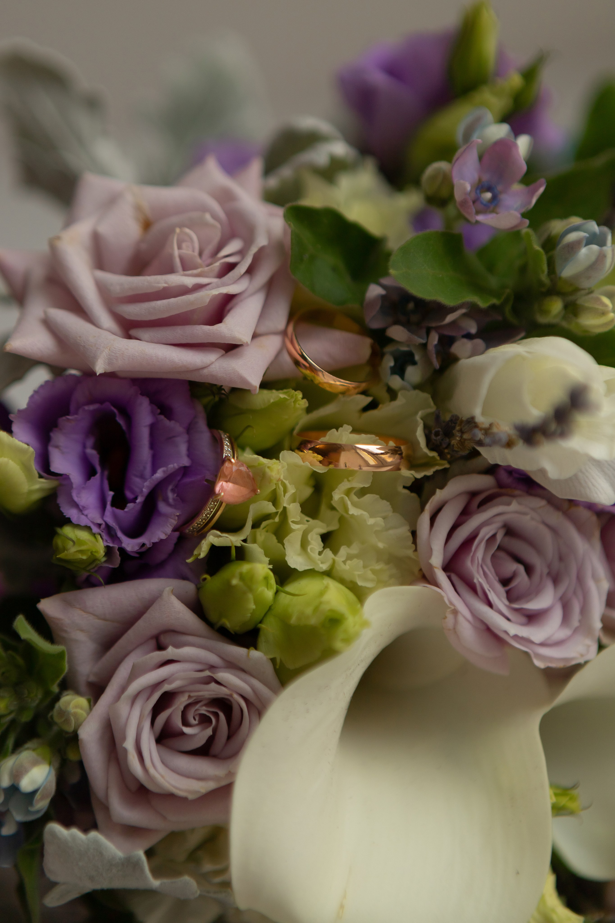 Violet day. Свадебный и семейный фотограф Арина Кулёва