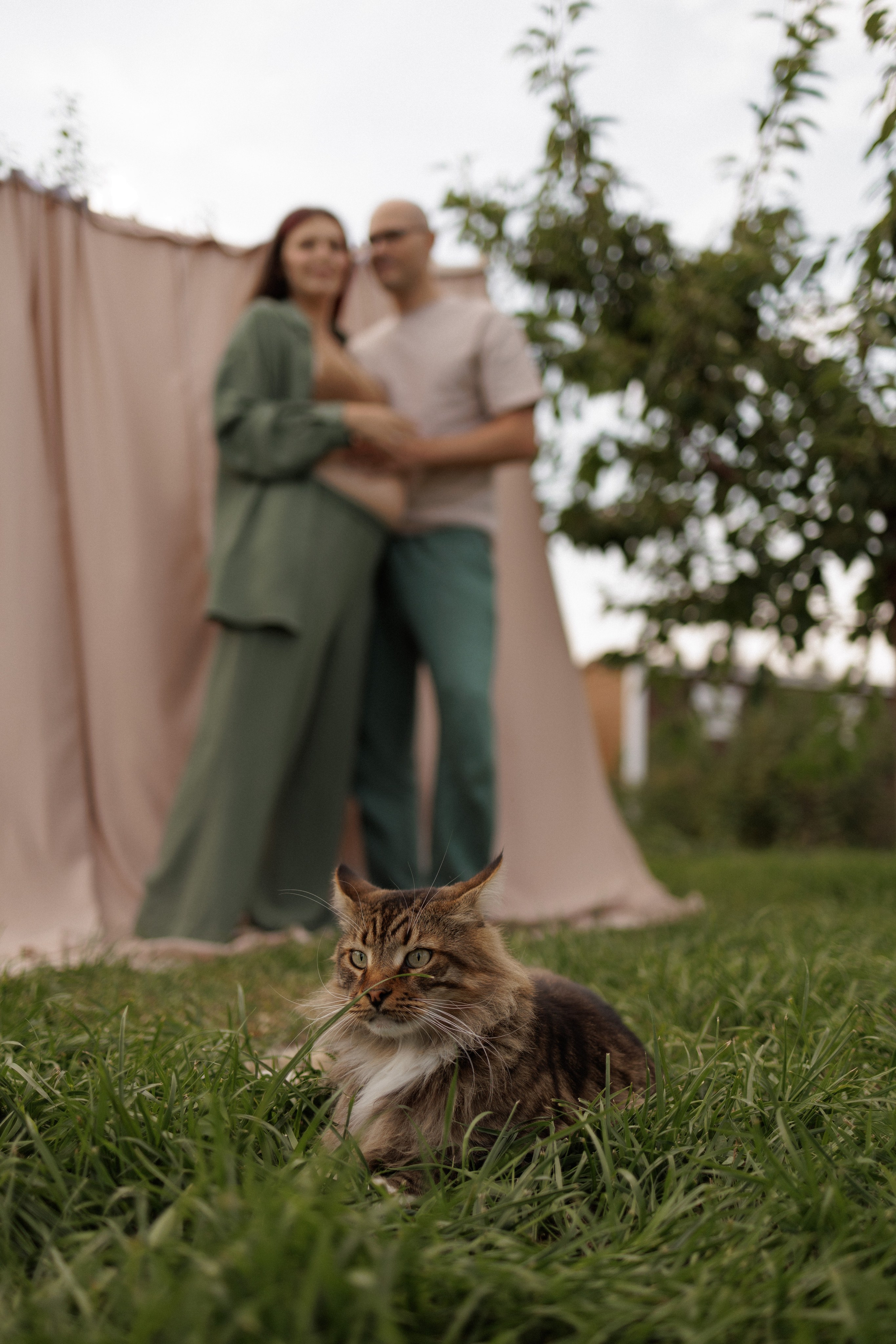 На закате одного прекрасного вечера. Фотограф Софья Гречка