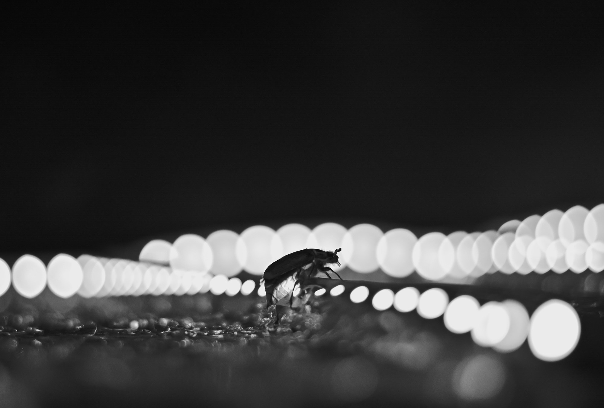 Фотограф Константин Ясинский