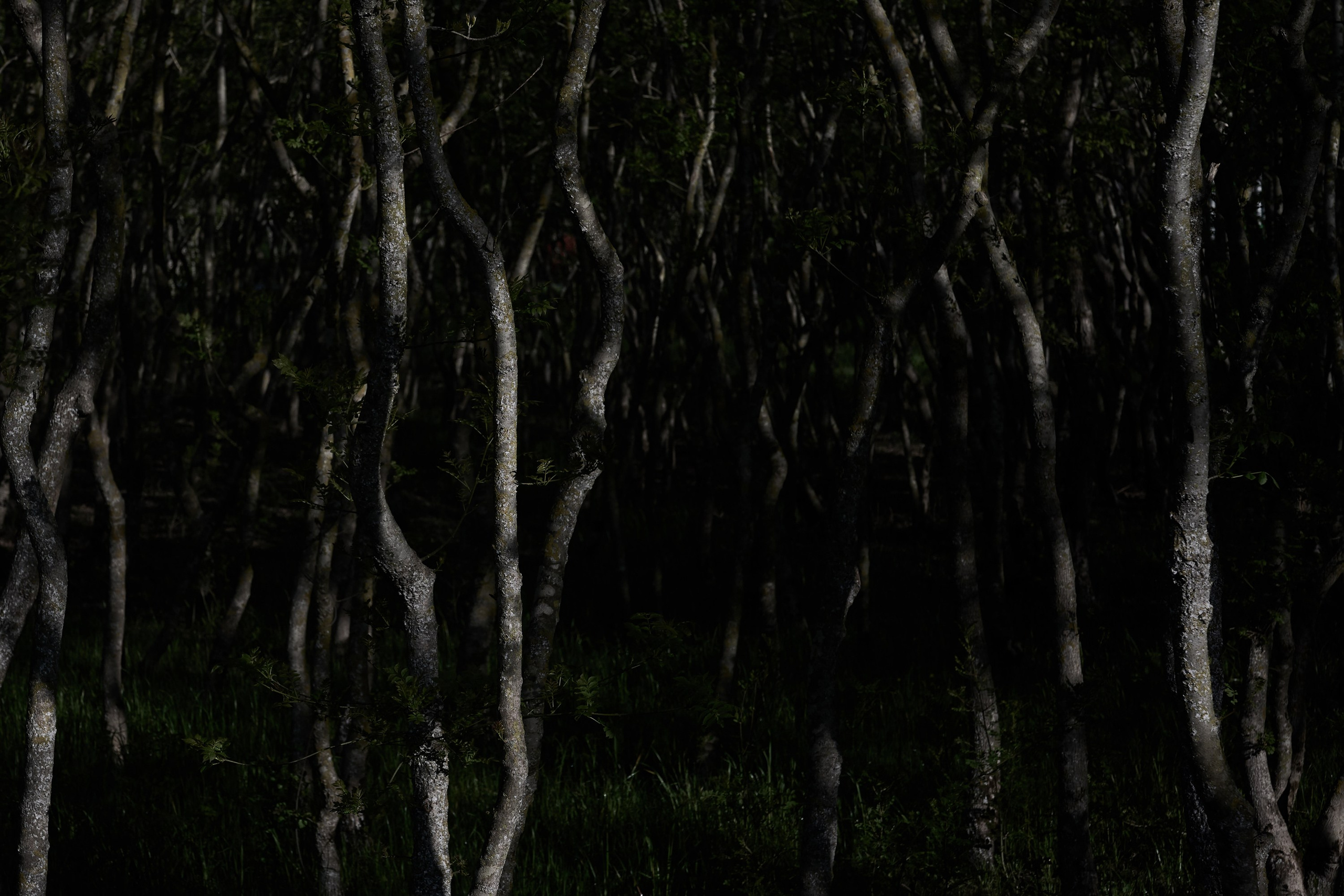 Текстуры и другие фоны. Textures and other. Яркие фото на Чёрном море