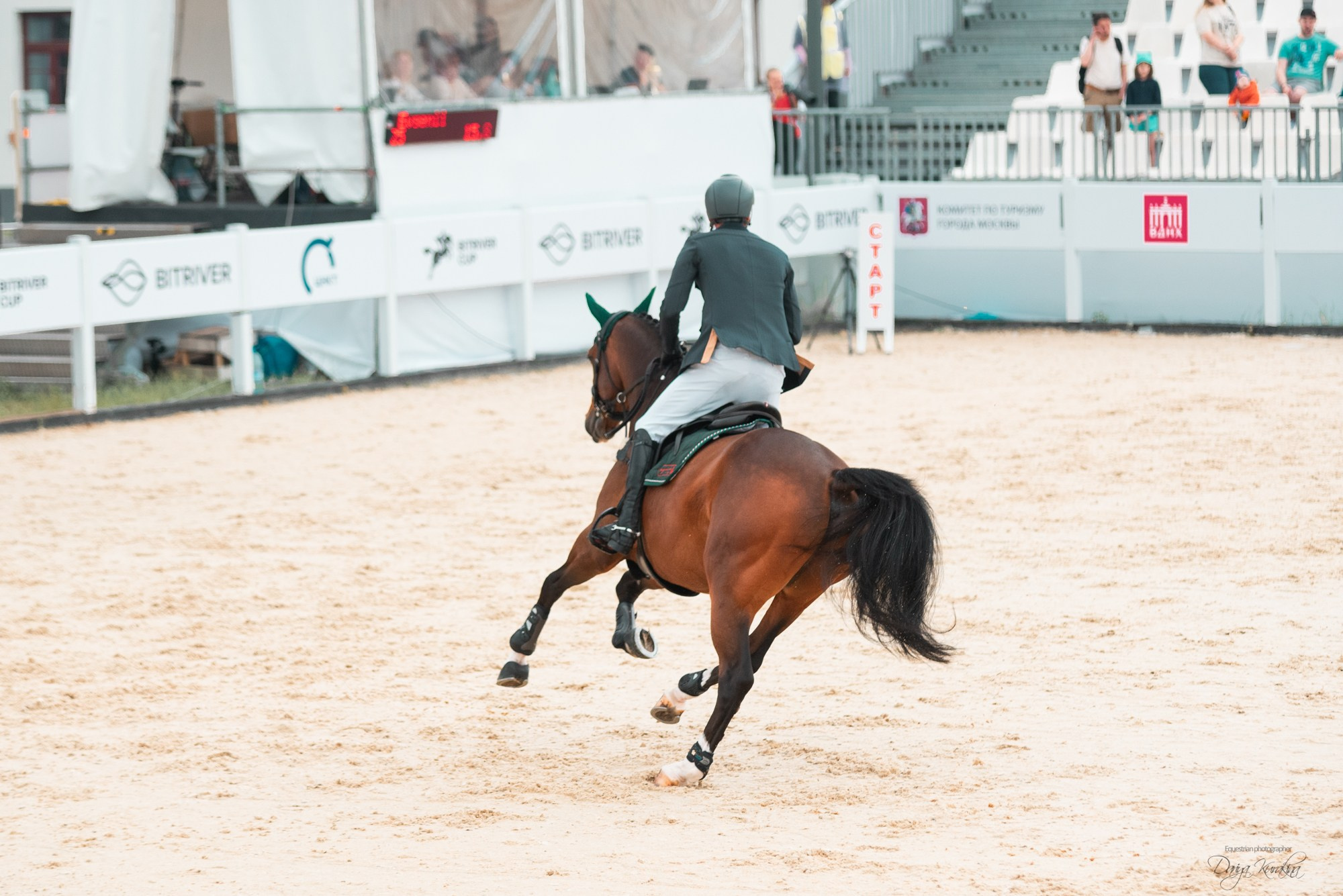 BITRIVER CUP 2023. Конный фотограф Куракина Дарья • Фотосессии с лошадьми