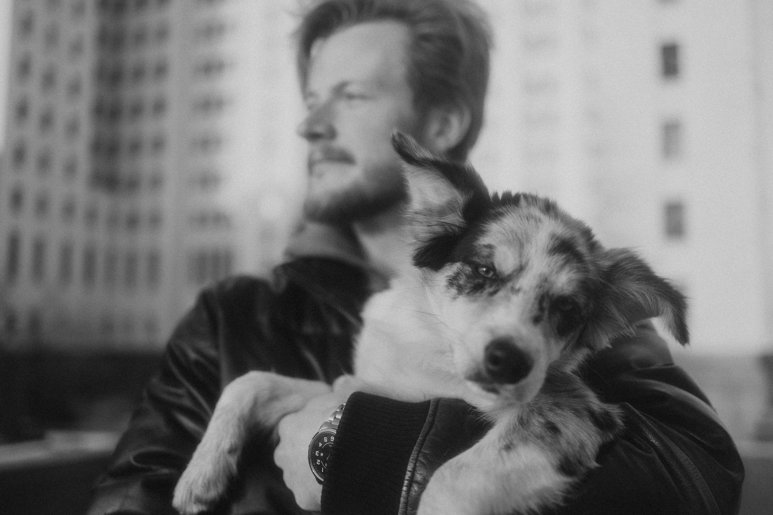 Балу и Илья. Фотограф анималист Анастасия Пикей