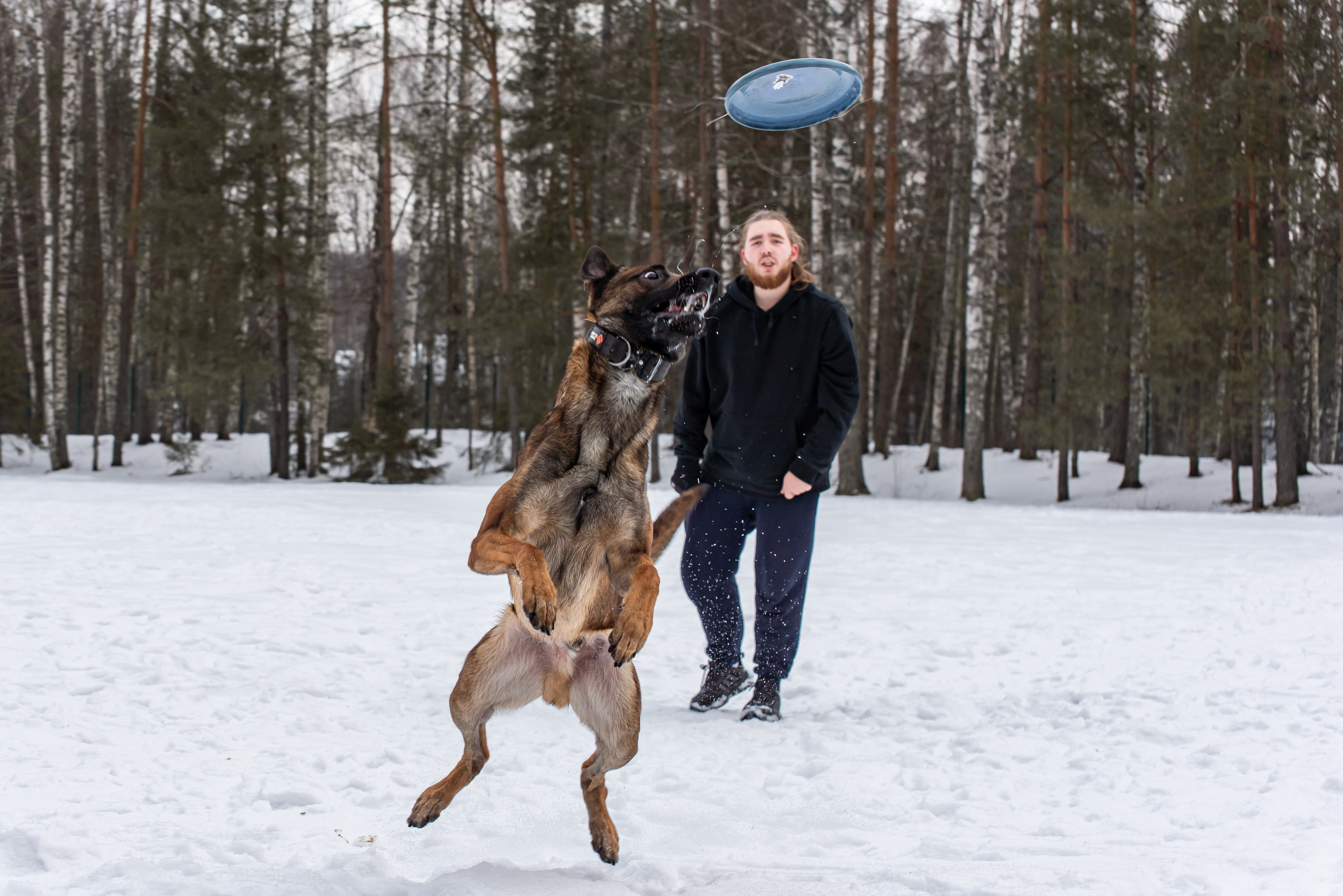 Фотосъёмка с собаками в Кинологическом лагере. Фотограф Макс Огурцов в Нижнем Новгороде
