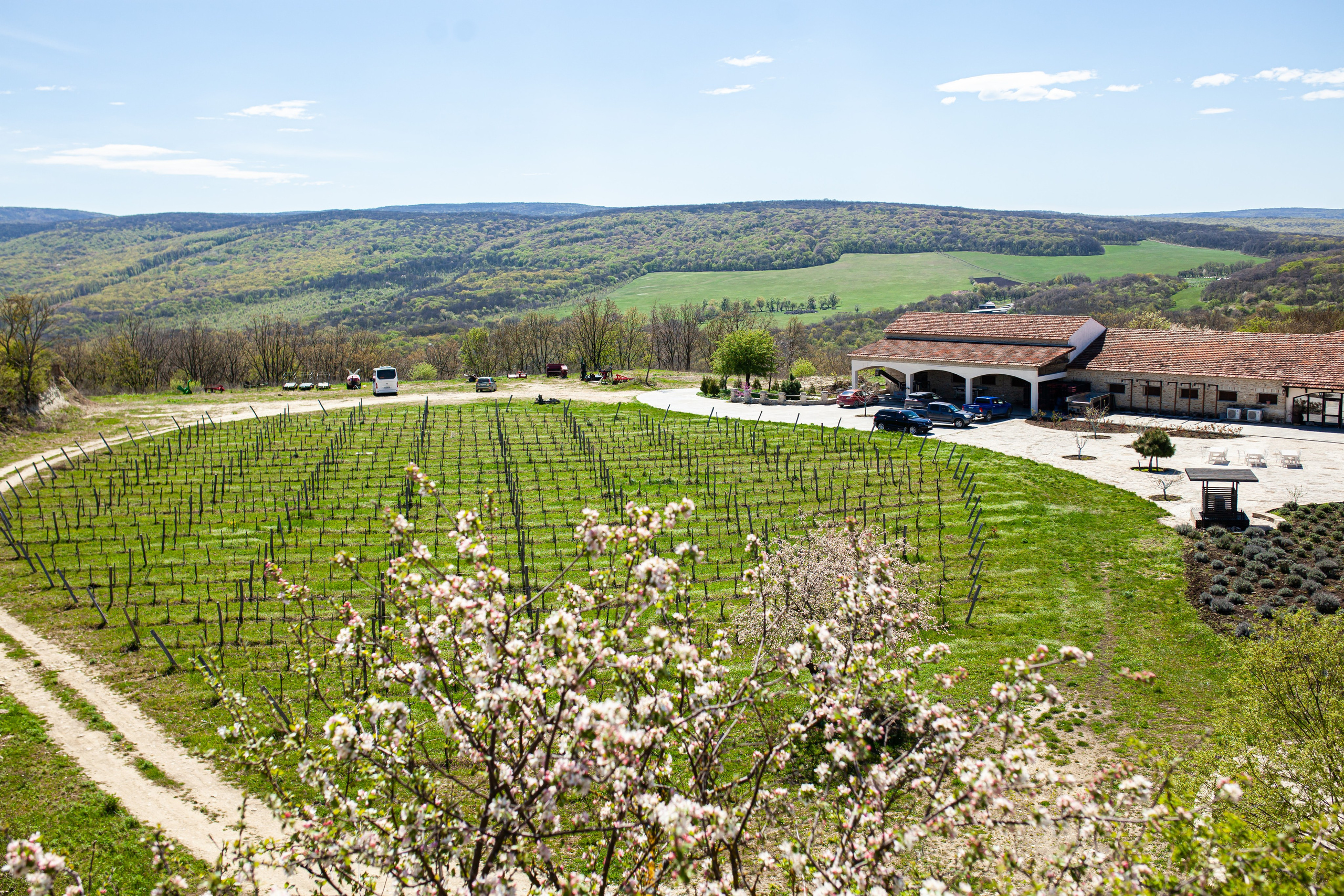 Фотосессии в Шато Андре — фотограф Аркадий Славский
