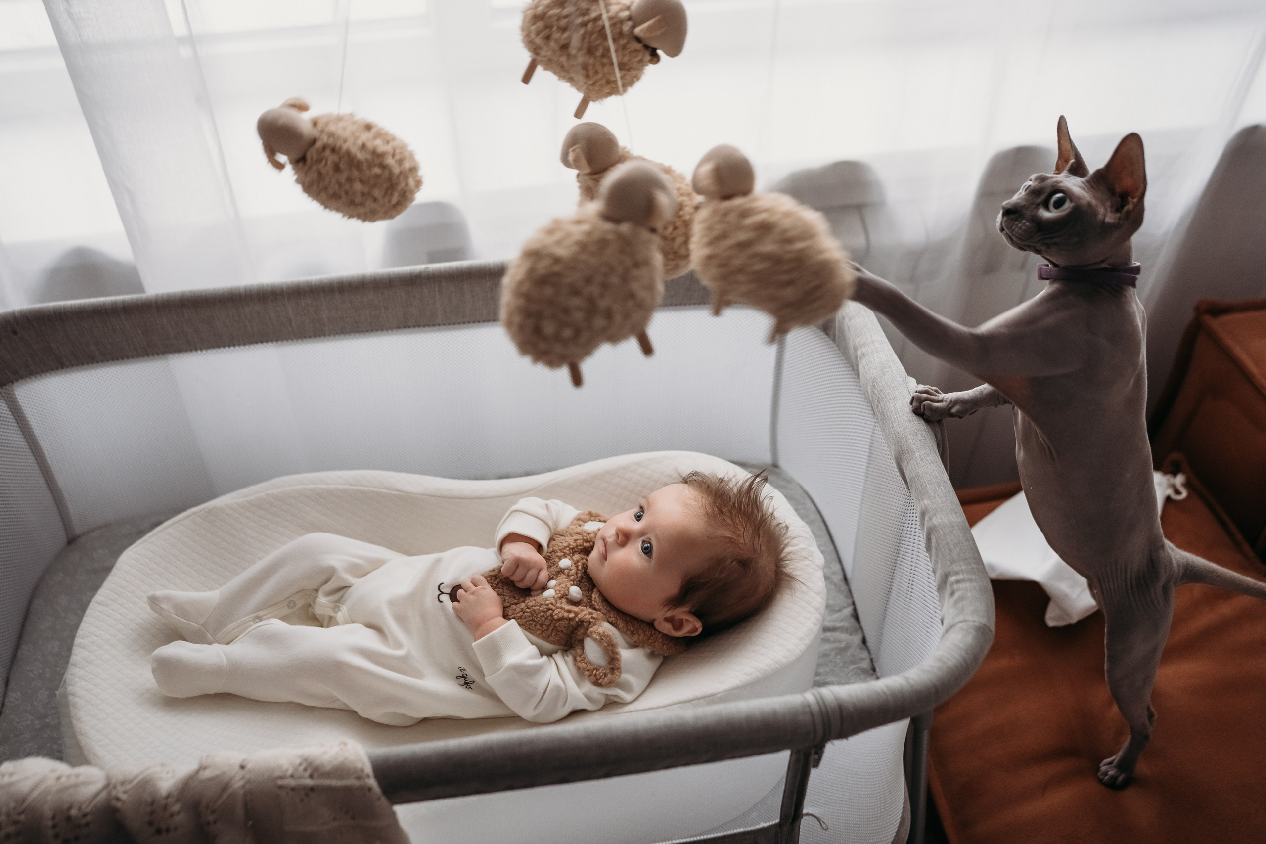 3-4 месяца. Фотограф Новорожденных в Москве. Семейные истории в стиле LIFE