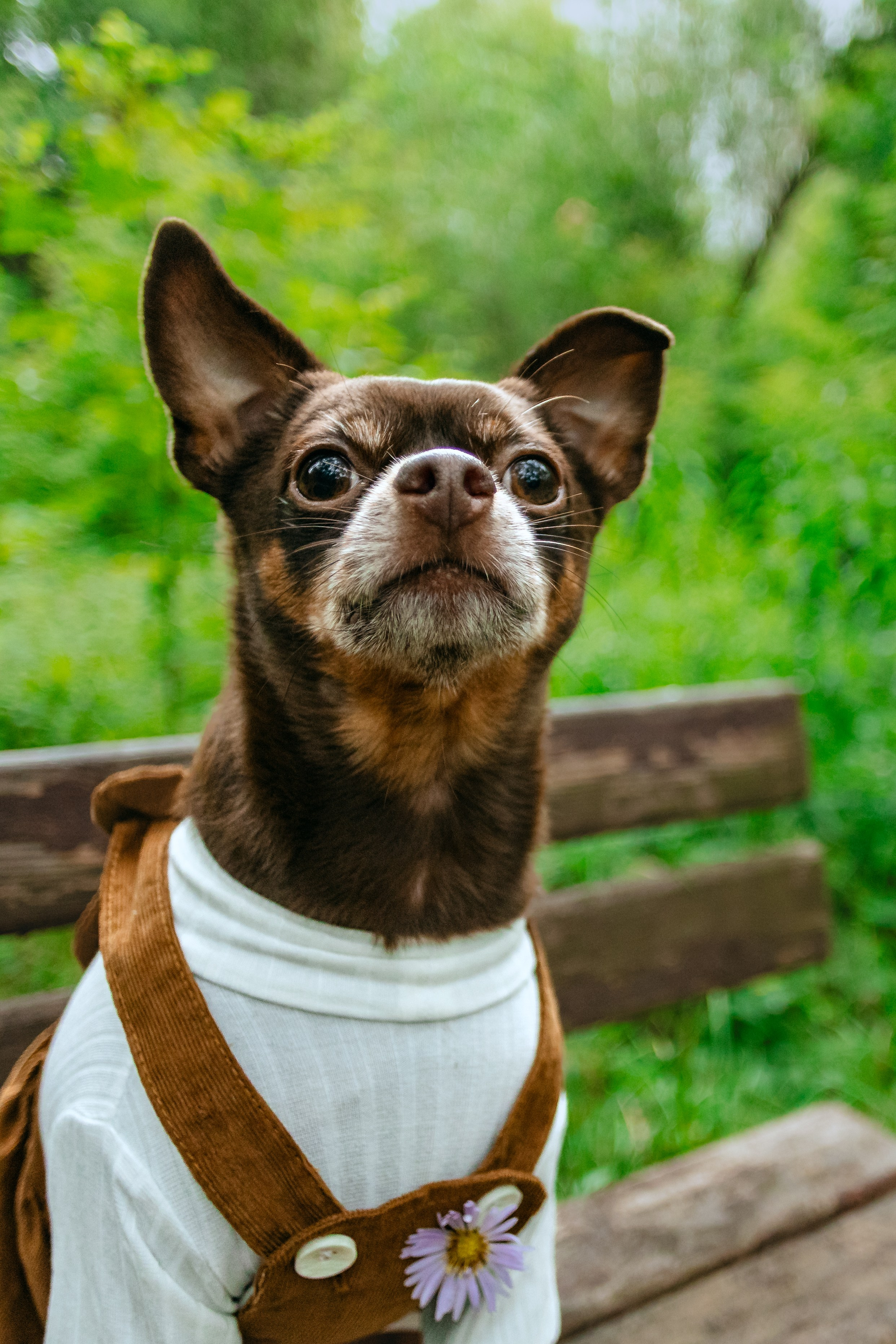 Юля и Леонид. Фотограф-анималист Татьяна Степанова