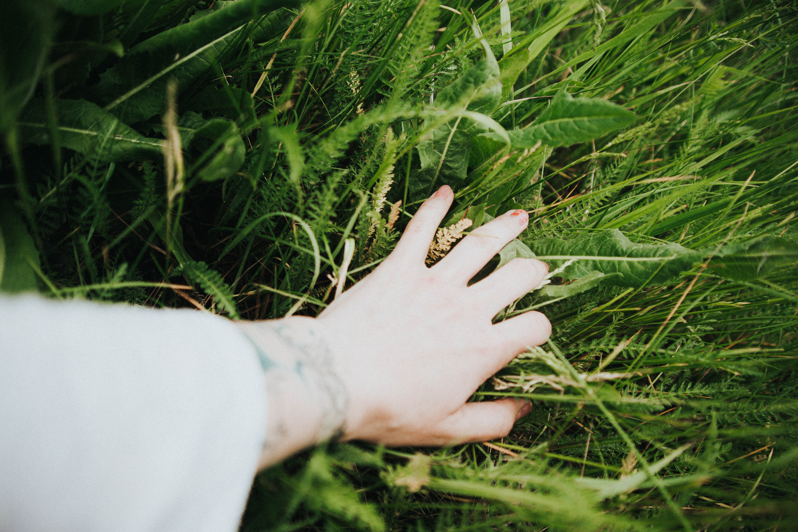 Ирина. Травушка. Фотограф в Нижнем Новгороде