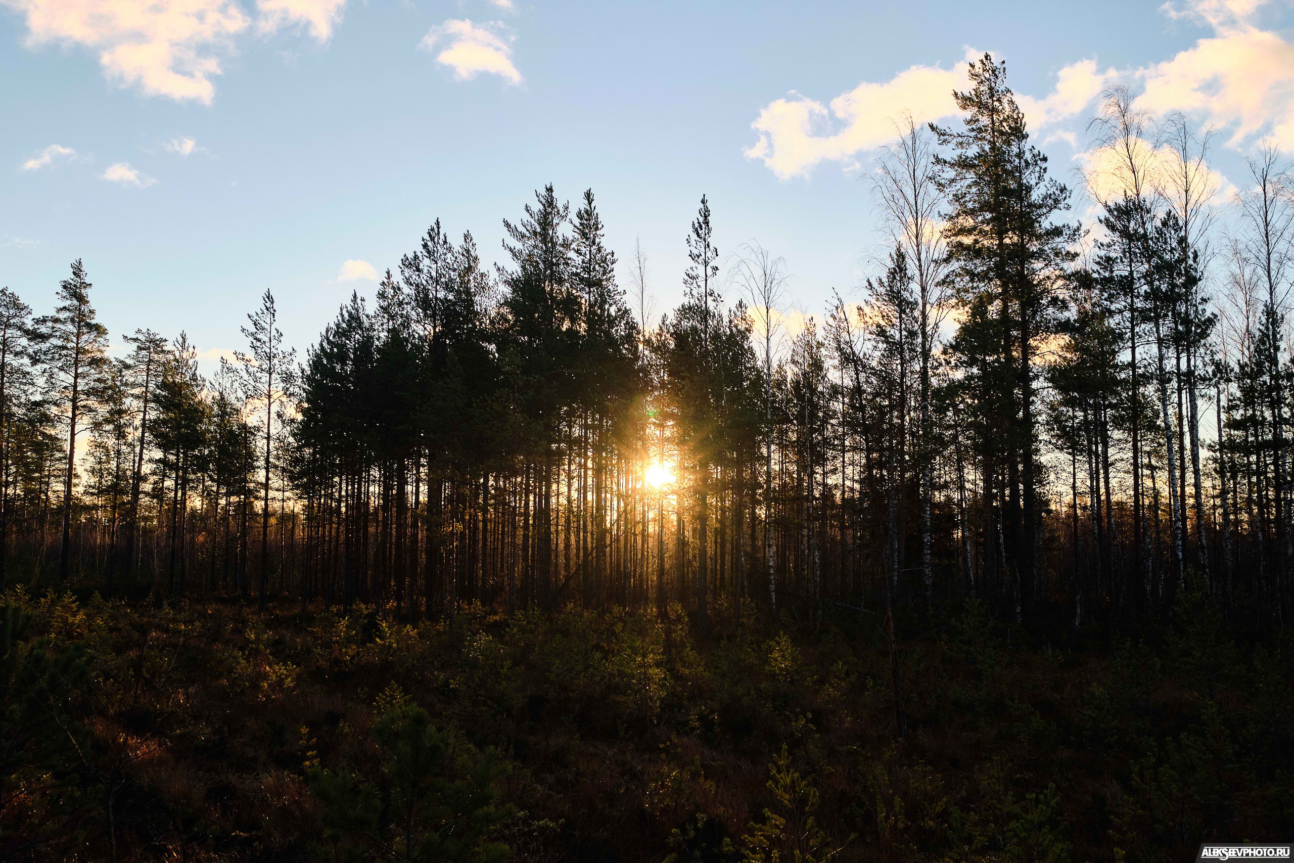 2021.10.17 — Финал чемпионата СЗФО по трофи-рейдам — 2 день. Фотограф Алексей Алексеев