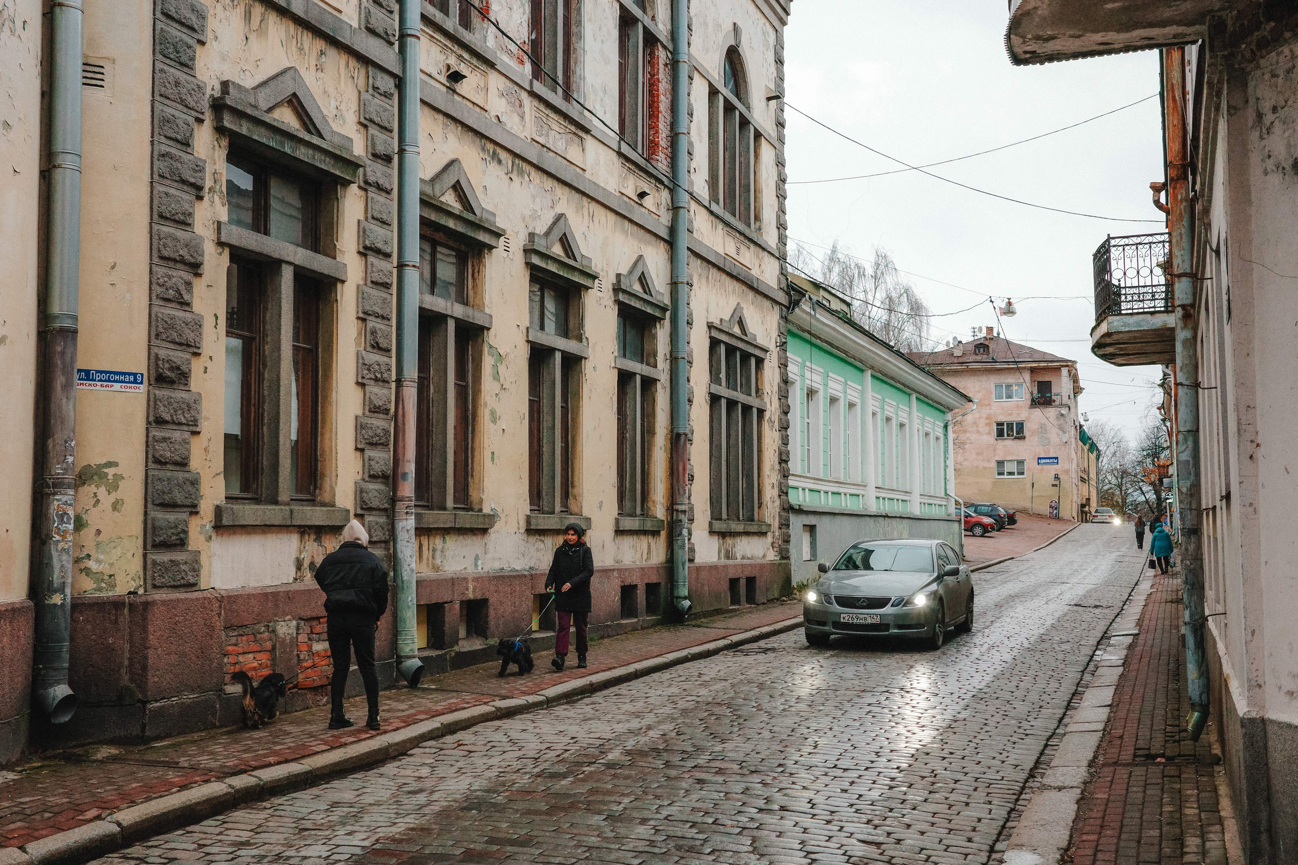 2024.11. Фотограф Алексей Алексеев
