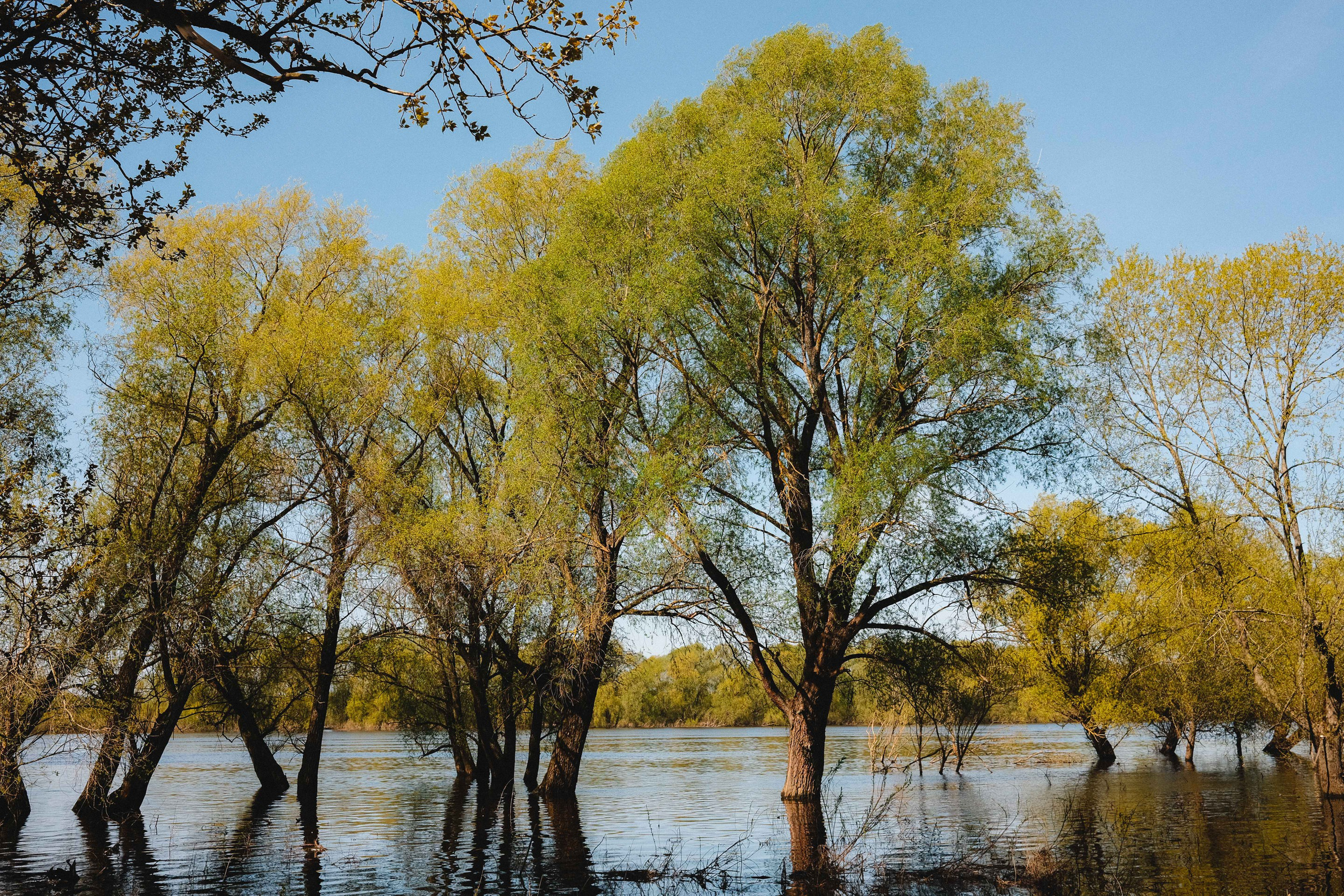 2023.05. Фотограф Алексей Алексеев
