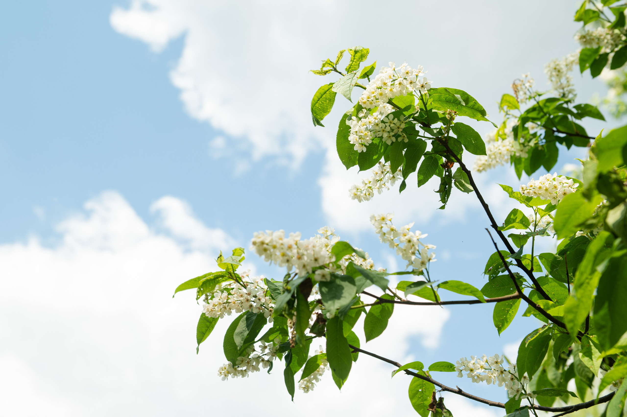 RIVER RAFTING. Свадебный и портретный фотограф в Казани
