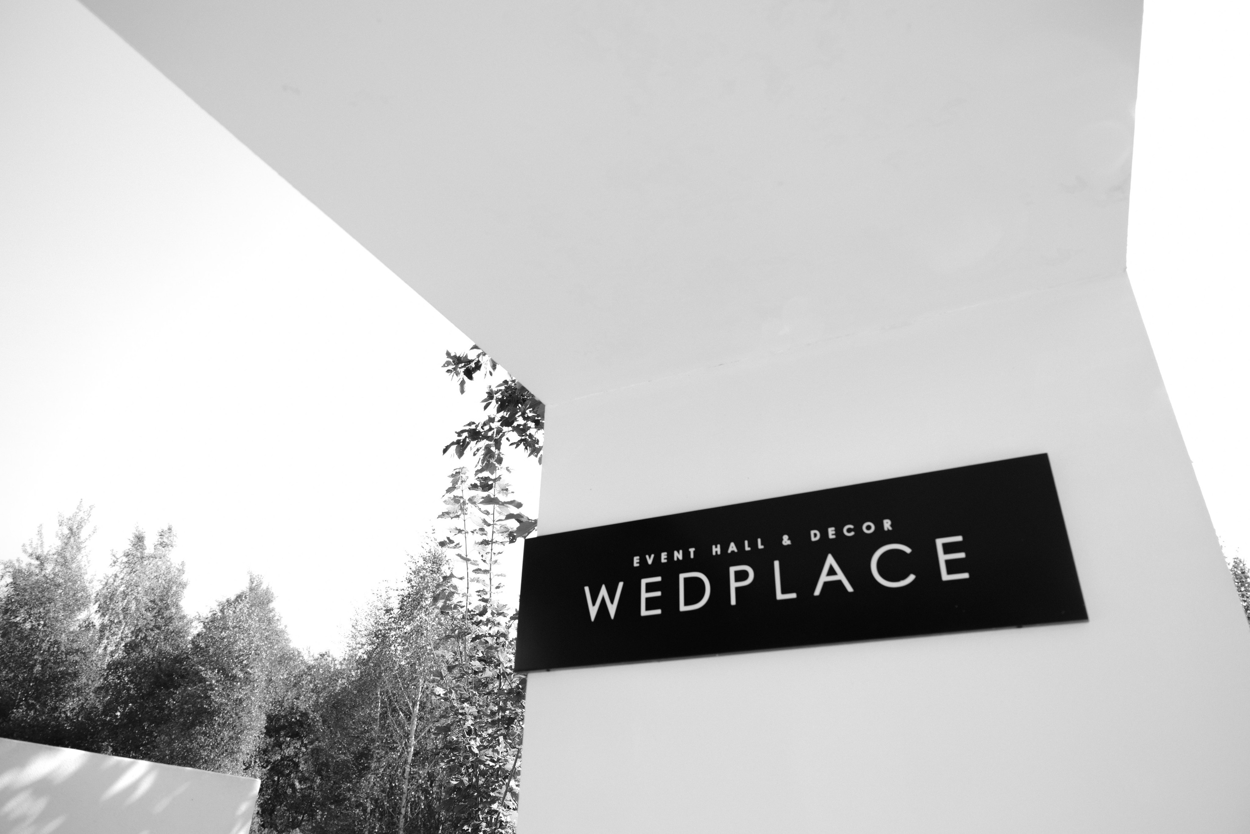 Ростислав и Вика. Свадебный фотограф Анна Бабахина