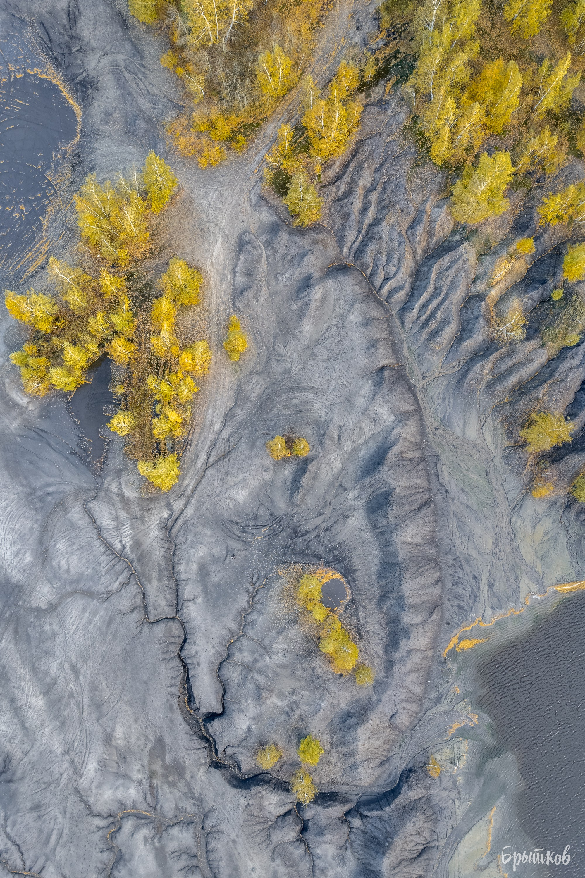 люторичи кондуки осень