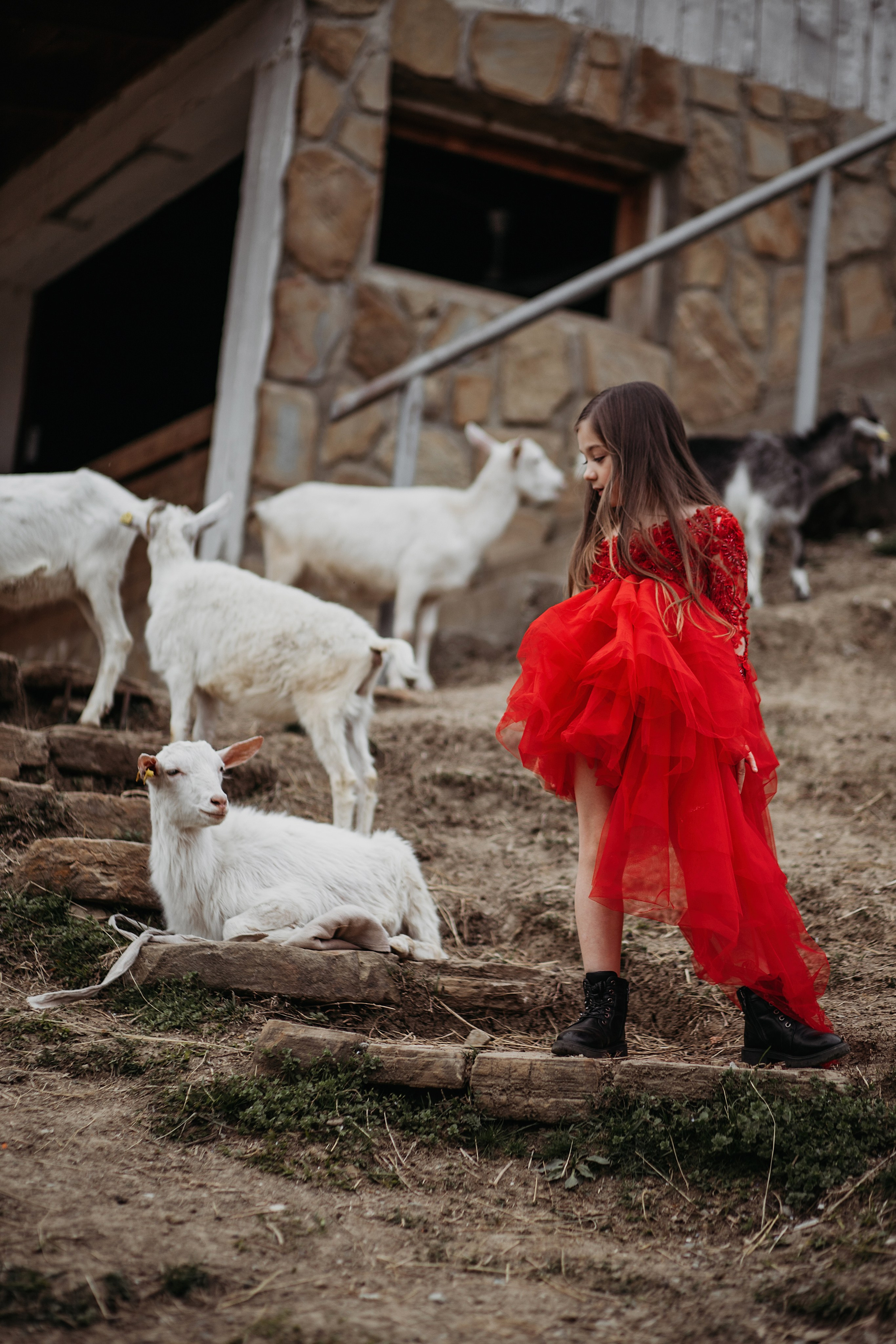 Ферма Экзархо. Фотограф Сочи Татьяна Зорина