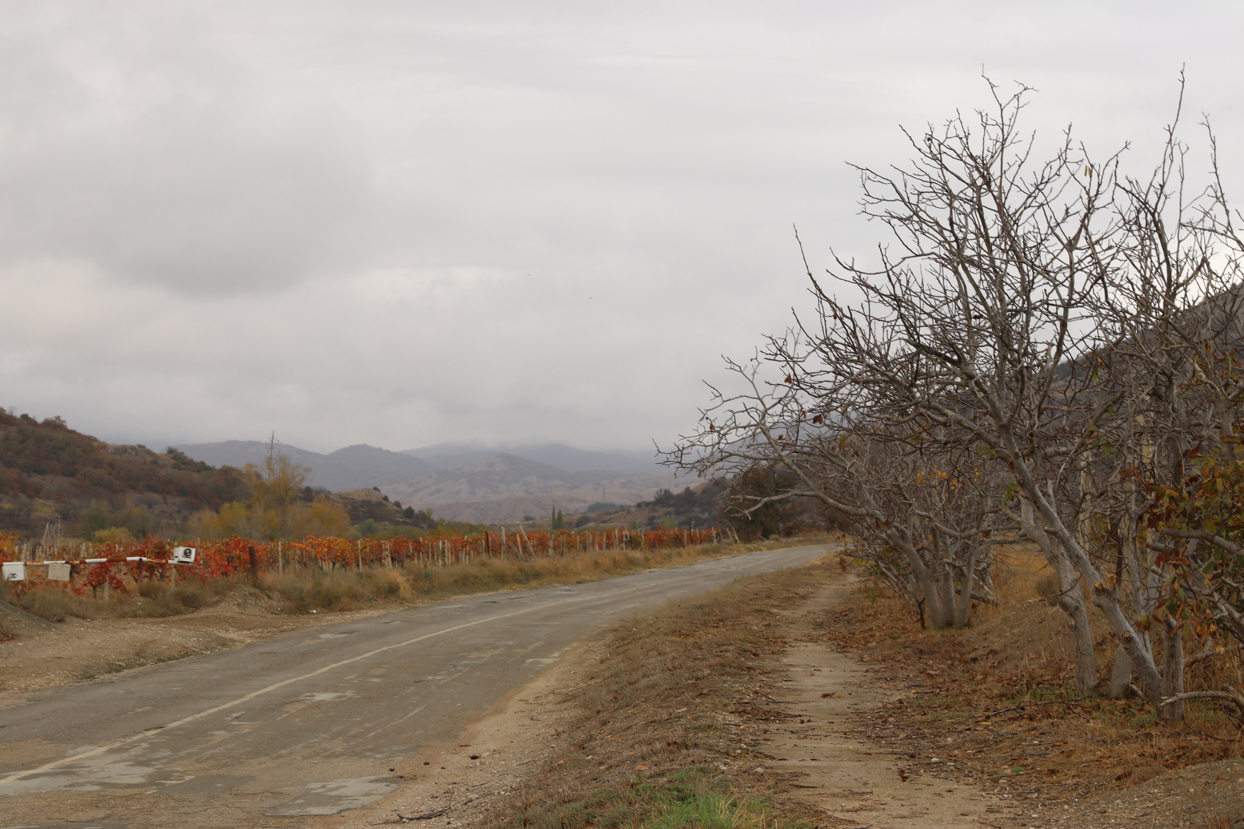 Крым. ЮБК (Гурзуф, Судак и их окрестности). Ноябрь 2023. Путешественник-фотограф из Санкт-Петербурга Татьяна Свистулина