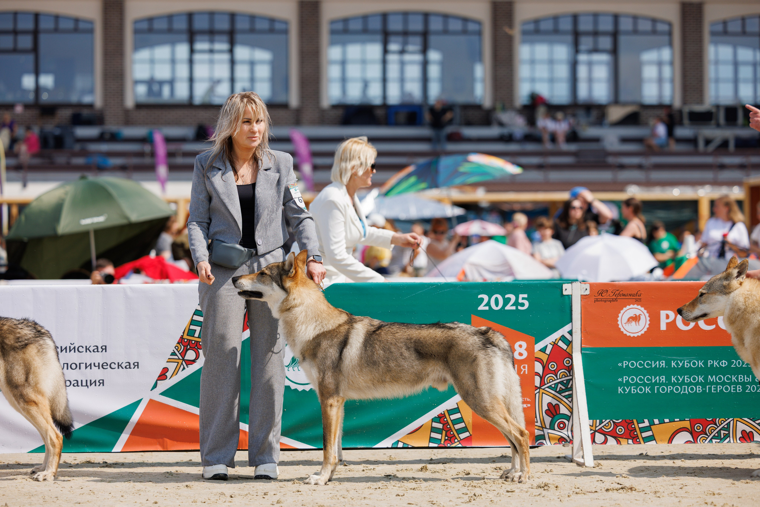 РОССИЯ 7-8.06.2025. Фотограф-анималист Юлия Германика