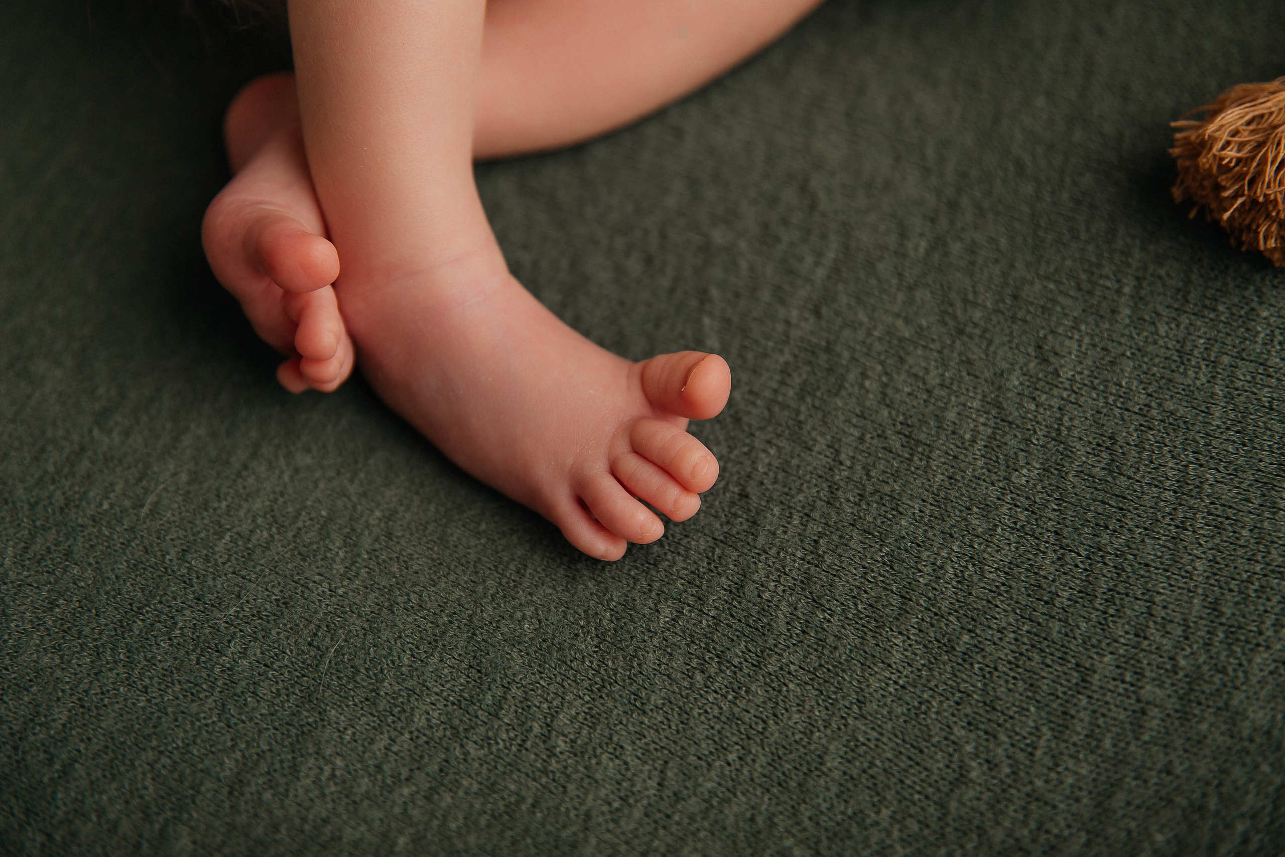 Лев. Фотограф новорожденных Тверь Диана Муляева