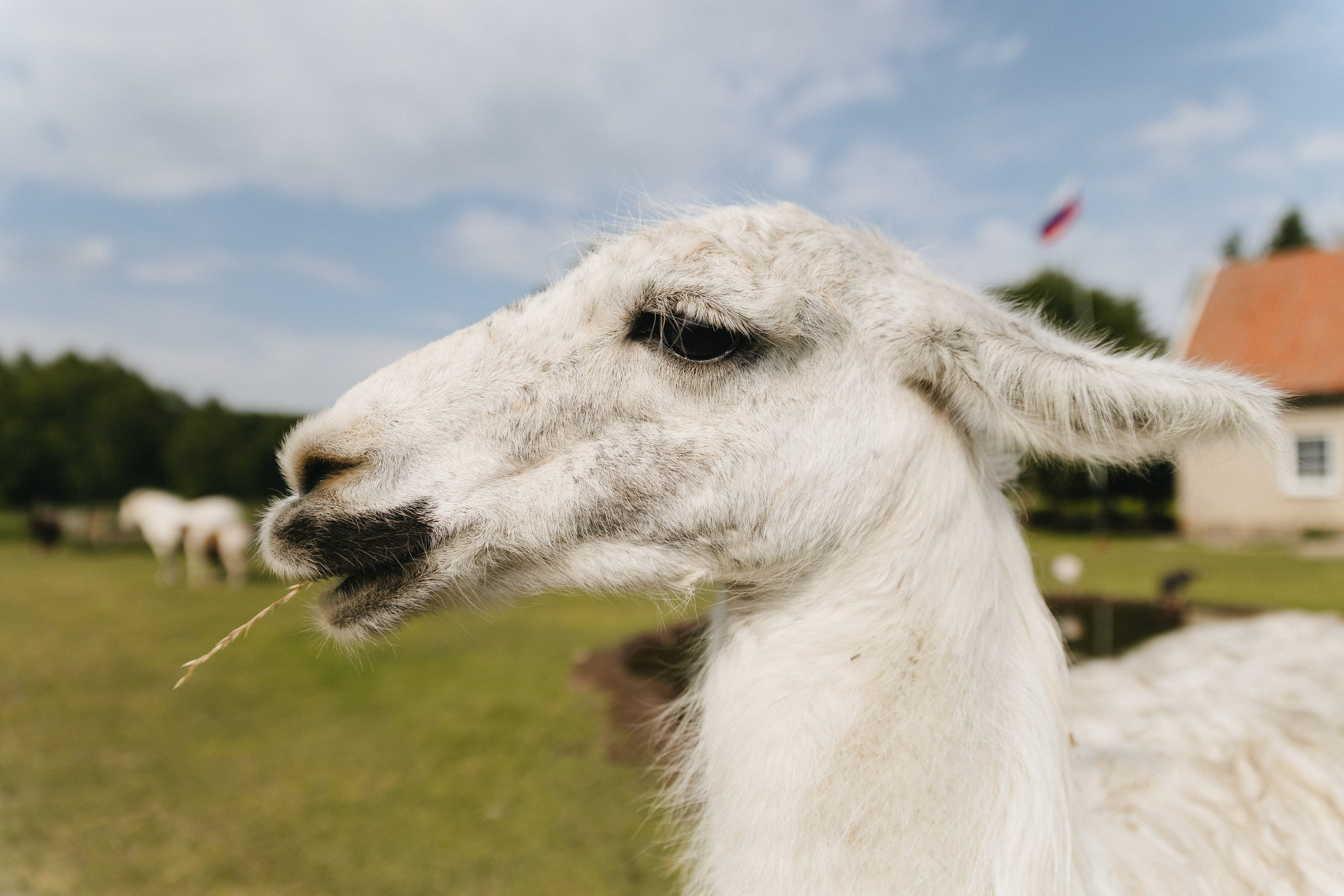 Тур — девичник LEF.TRAVEL.CLUB. KRIS KRUPINNIKOVA