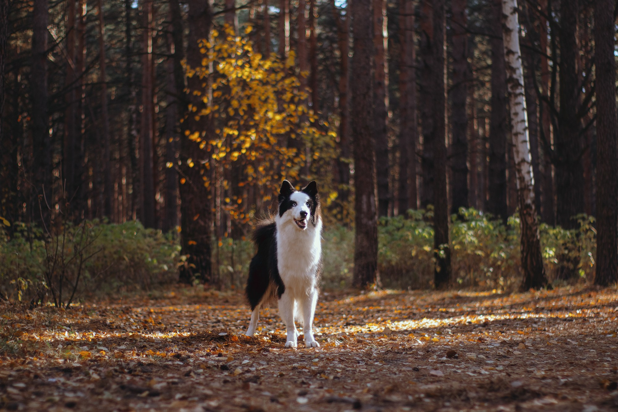 Ликёр. Фотограф в Тюмени Лизавета Сапицкая