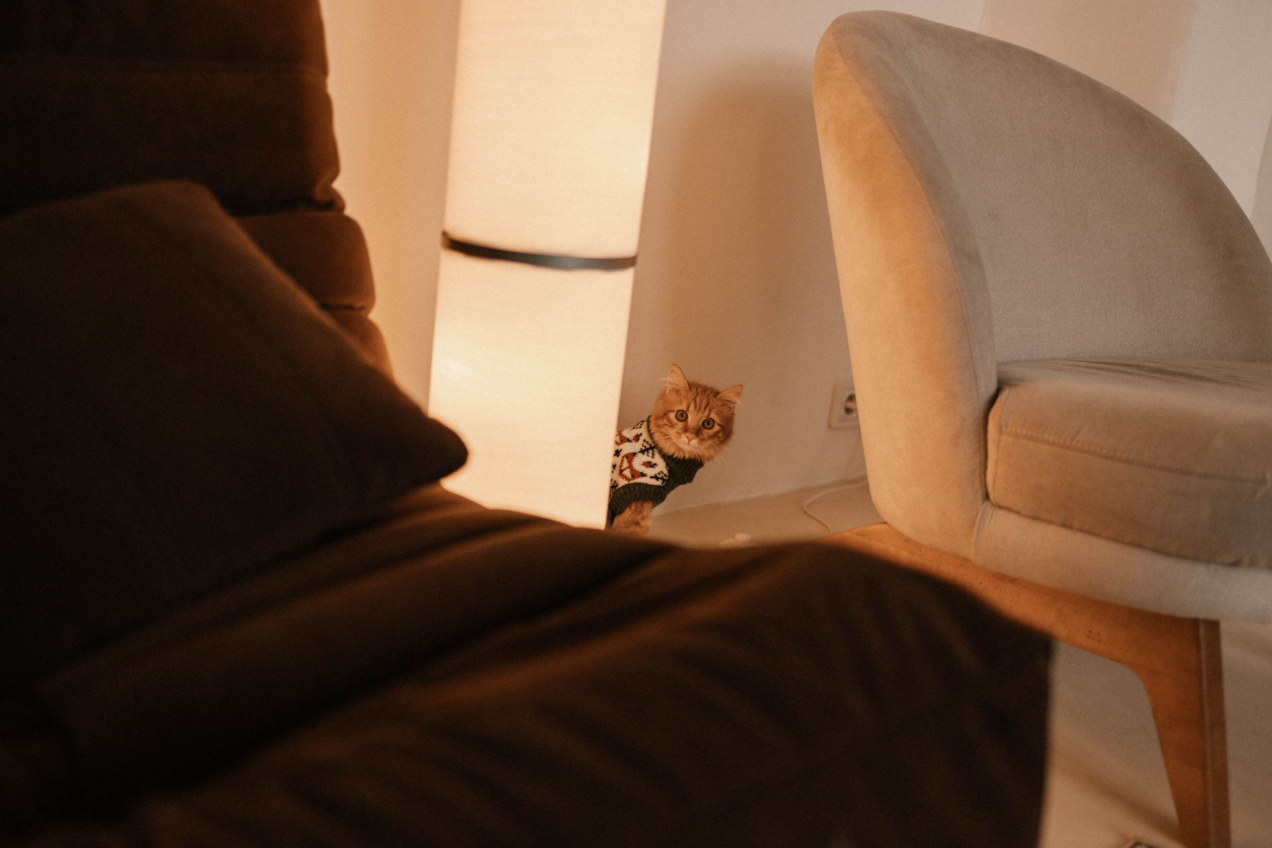 Камилла и ее девочки. Фотограф — Анималист | Санкт-Петербург