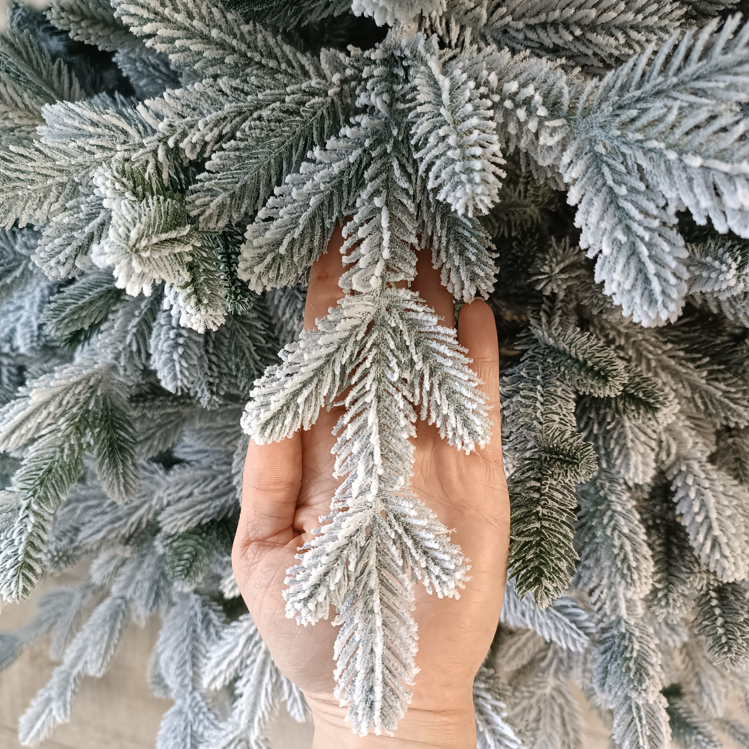 ВИВА. Elki_grodno