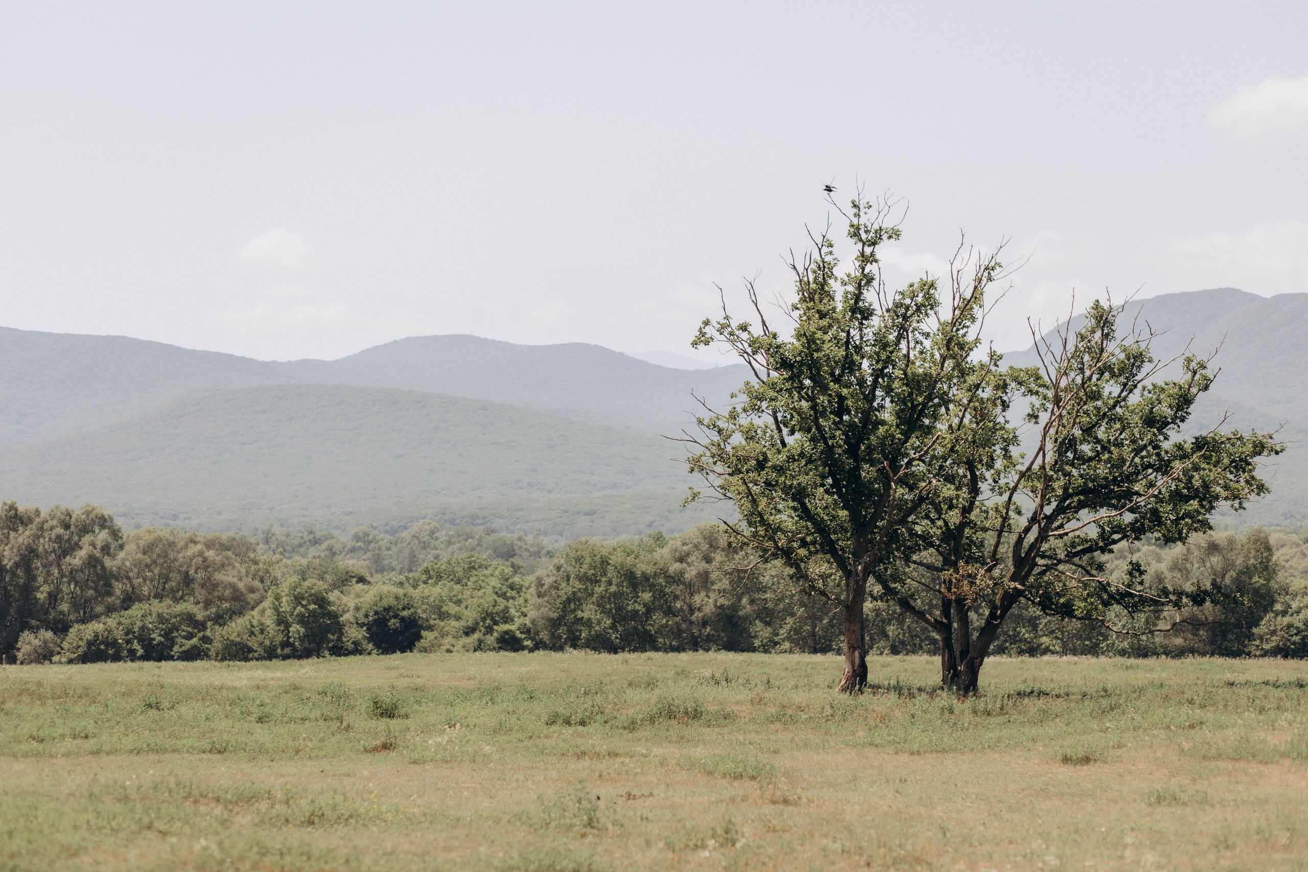 Natural. Семейный и женский фотограф во Владивостоке Тамара Кондор