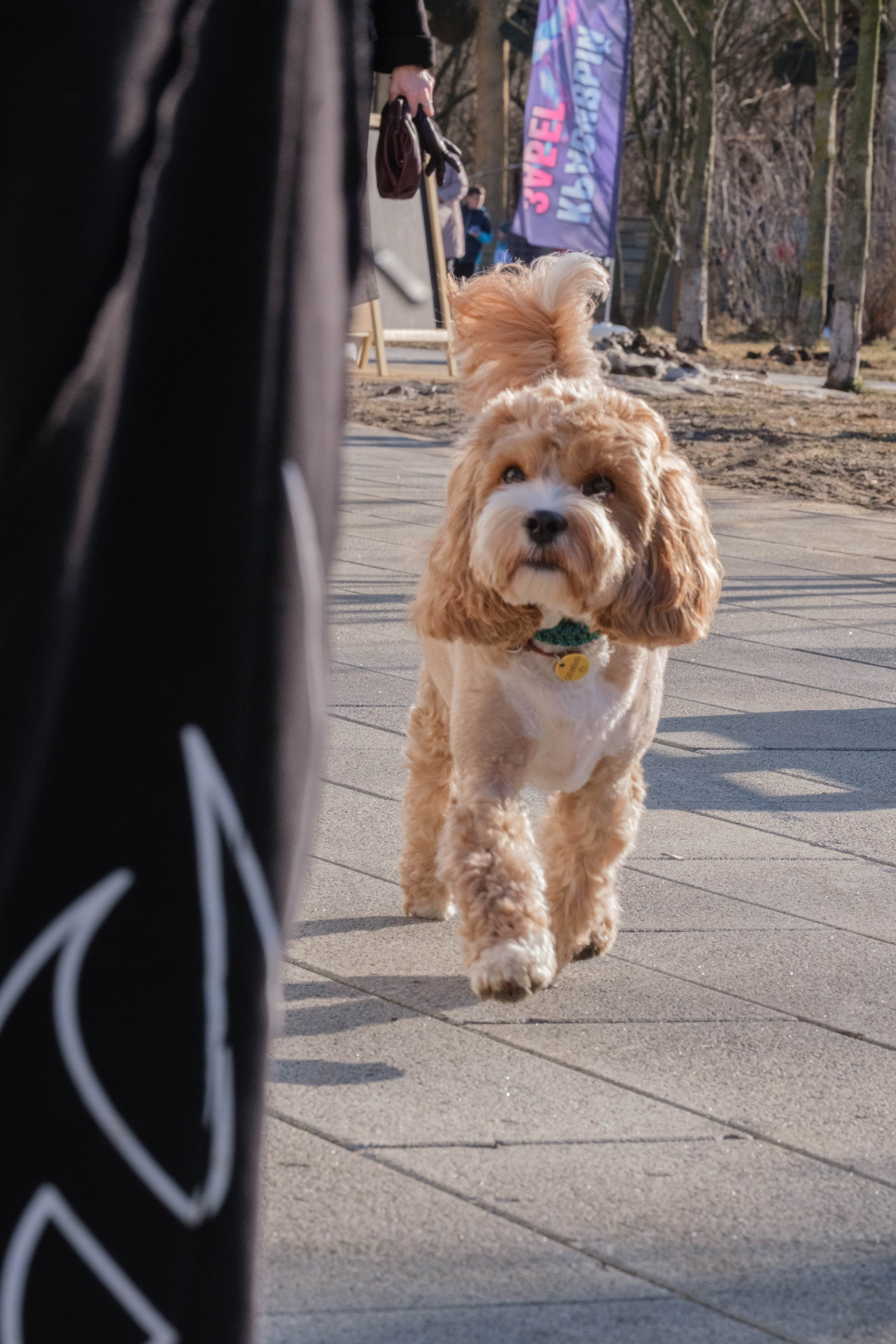 8 марта в парке. Фотограф Диана Иремадзе