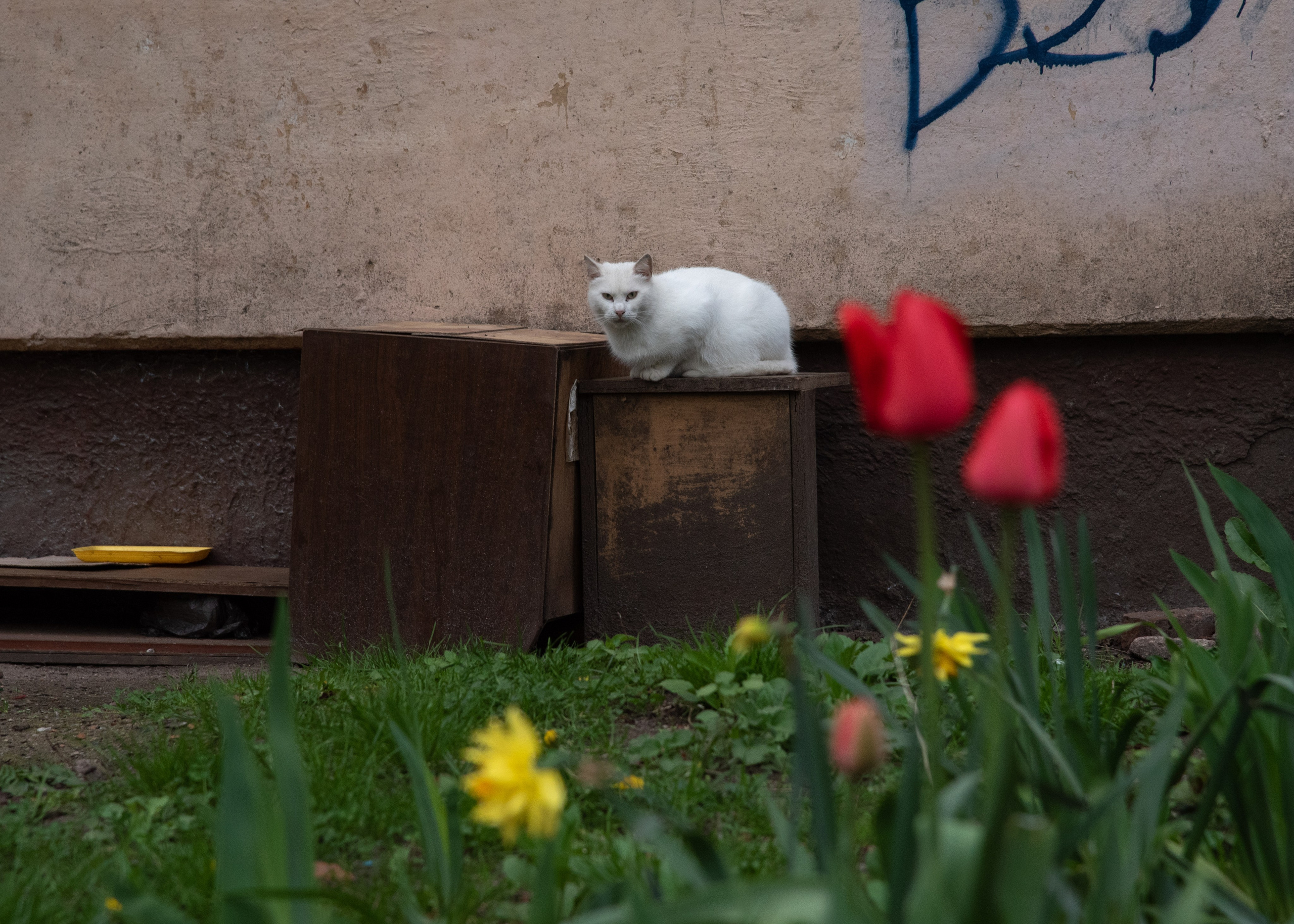 Калининград, Светлогорск. Фотограф Юлия Зимина