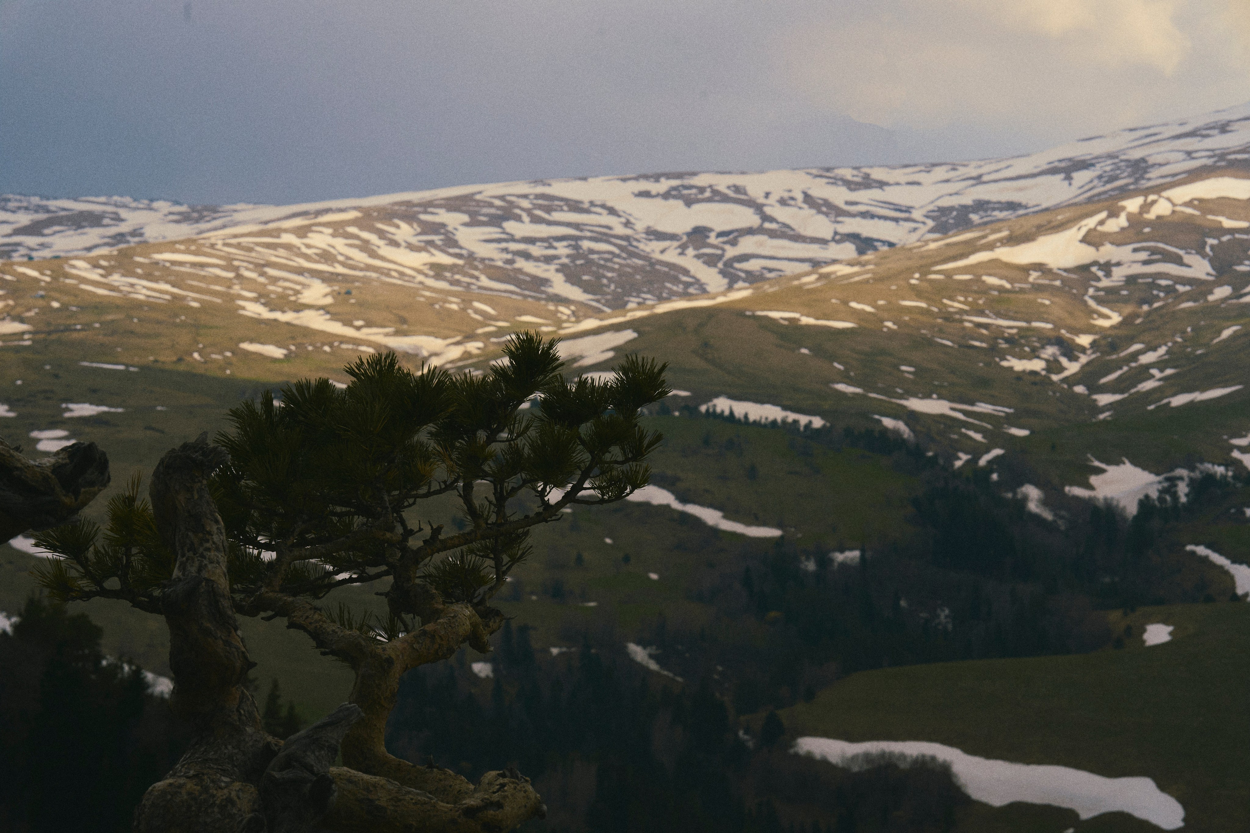 Krasnodar. Гасанова Алина|Фотограф в Санкт-Петербурге