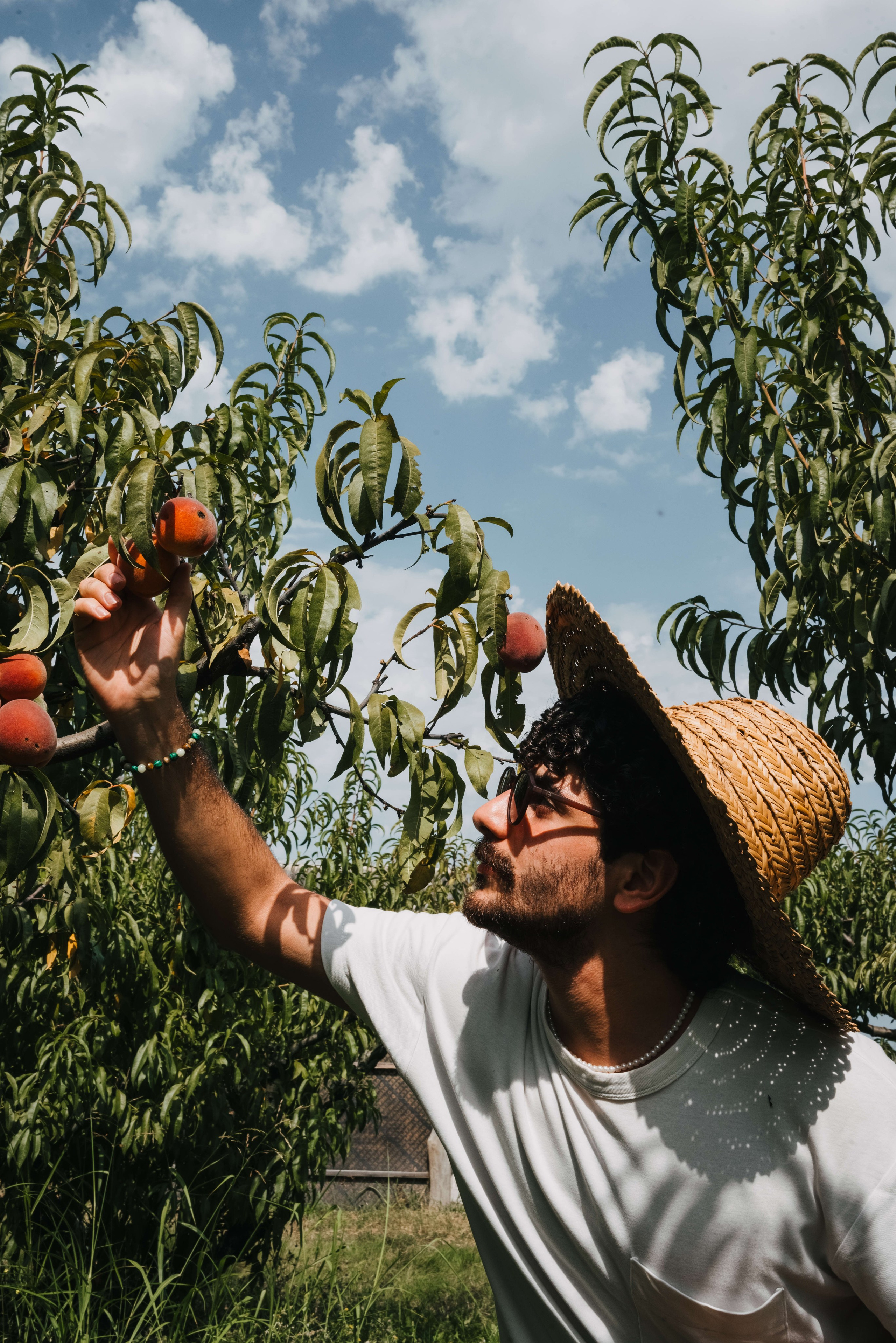 Съемка для винодельни Bakurtsokheli. Портретный и свадебный фотограф в Тбилиси • xeniqo