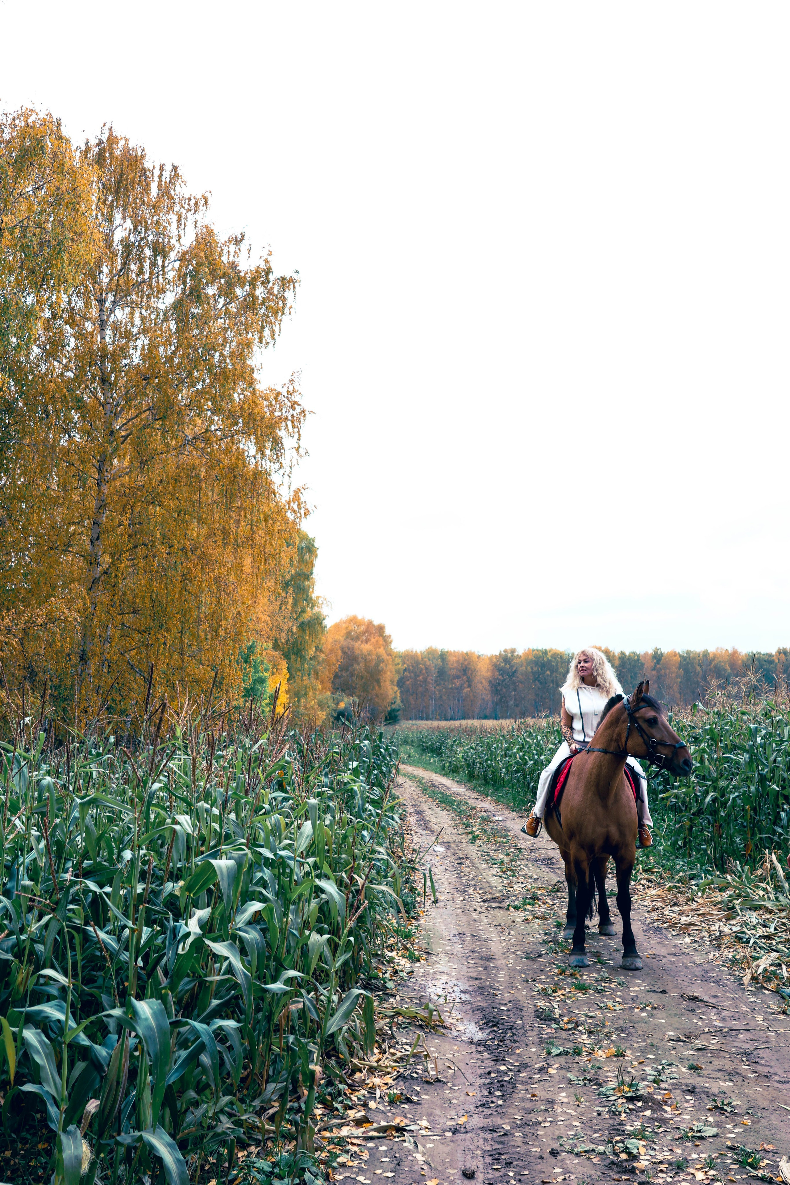 Наталья. Семейный фотограф в городе Екатеринбурге. Сафиуллина Екатерина