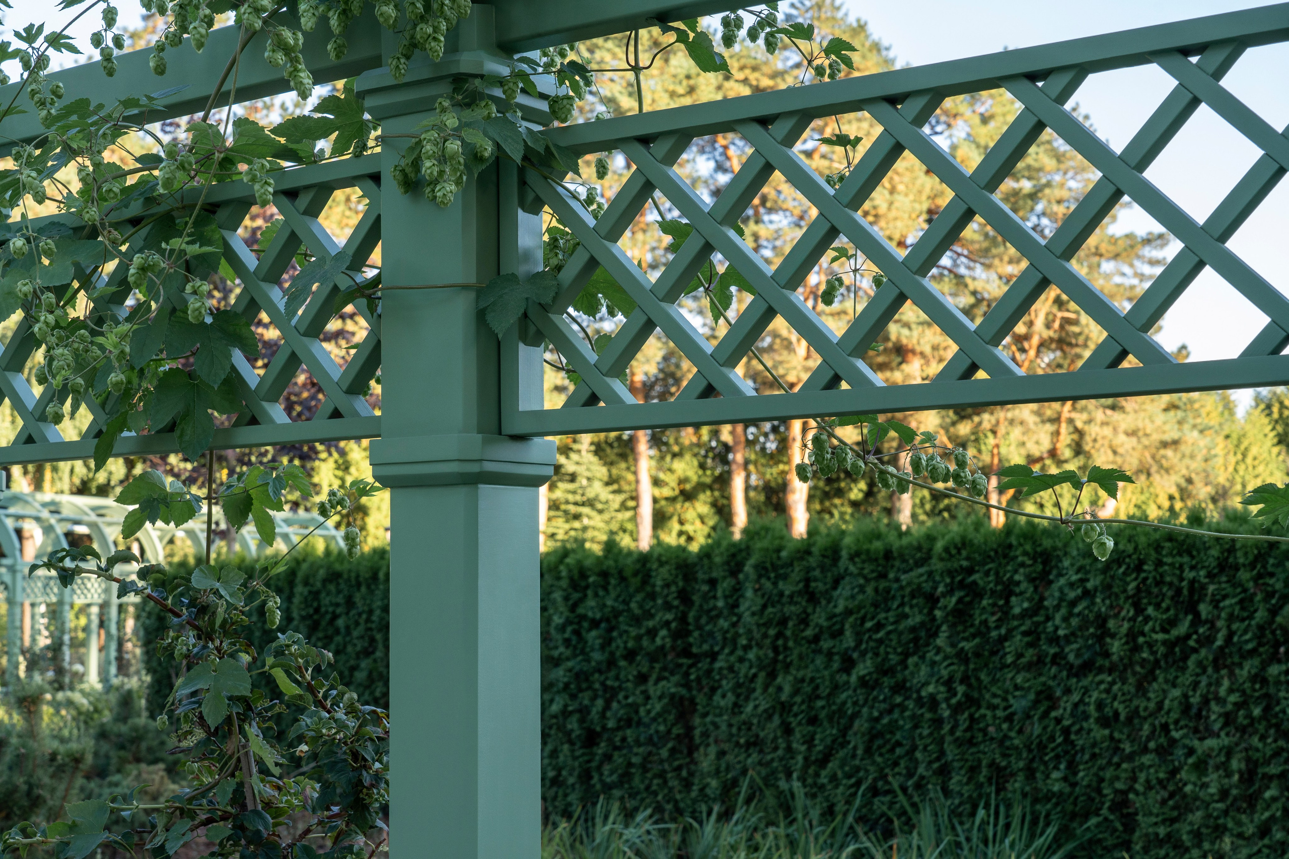 Scenic garden in the Moscow region. Артамонов Александр | Архитектурный и ландшафтный фотограф