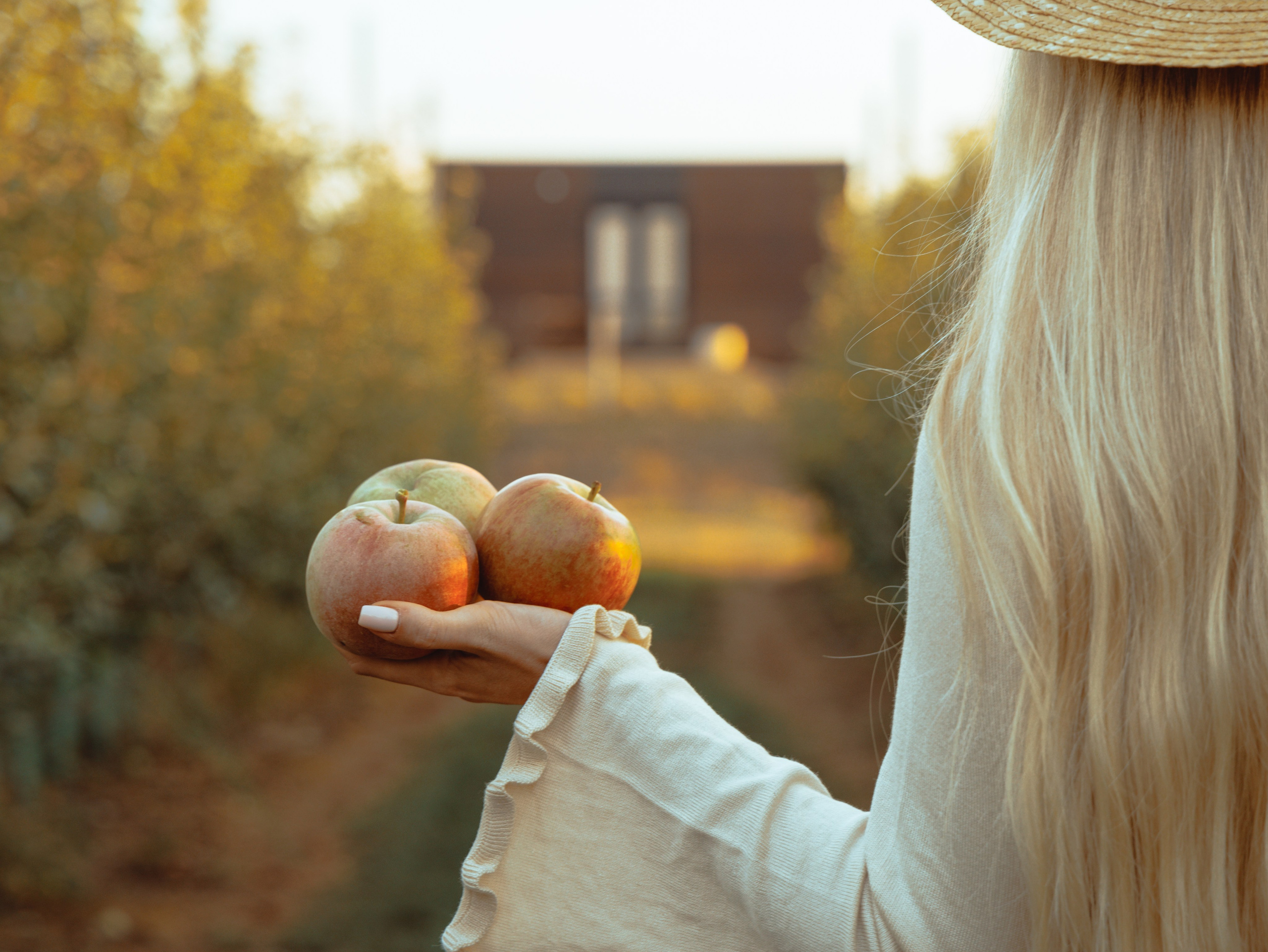 Domik в саду. Артем Корнев Фотограф