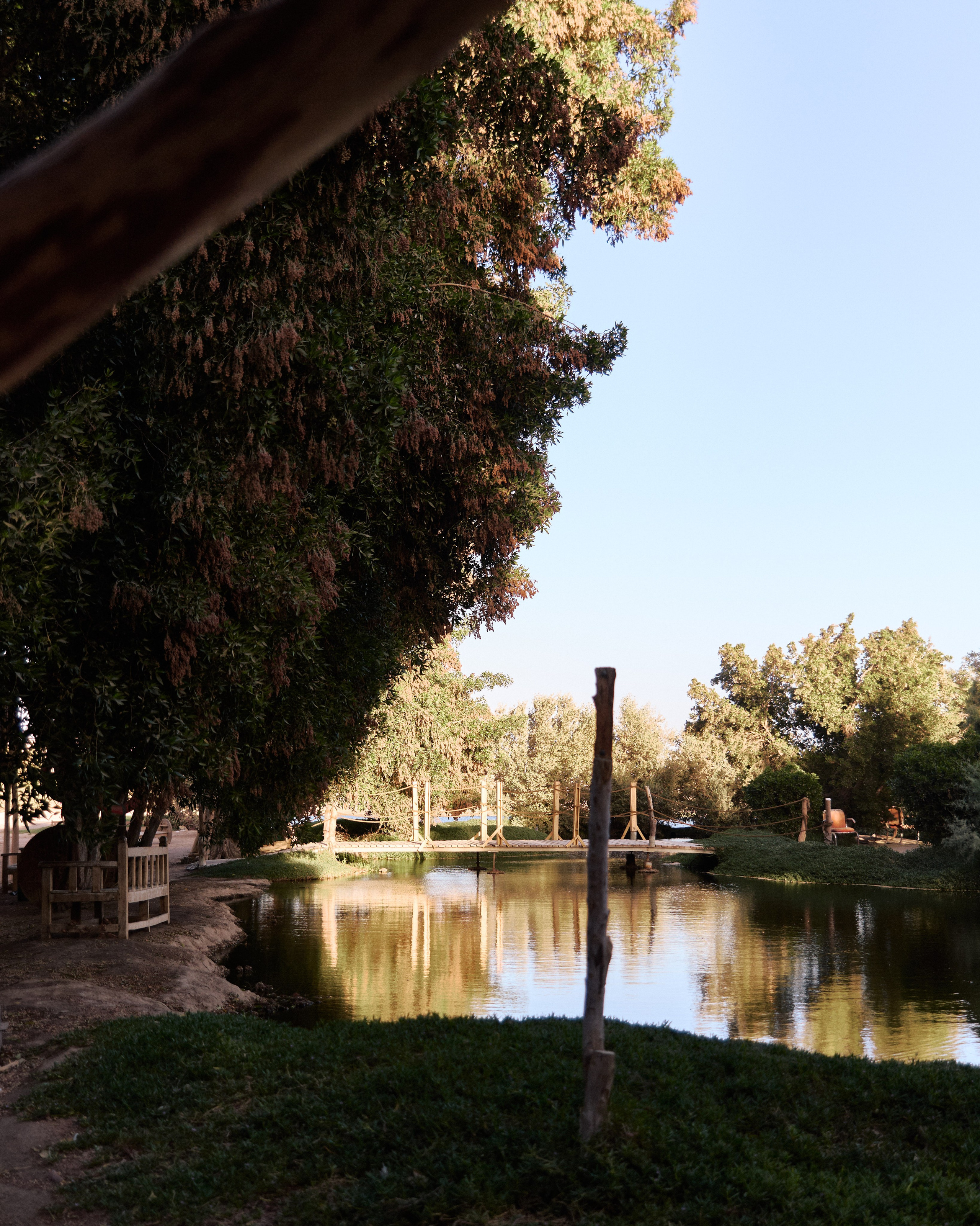 Другое 2. Jorgis Talè — photographer, kind person, teacher of arts and other mag