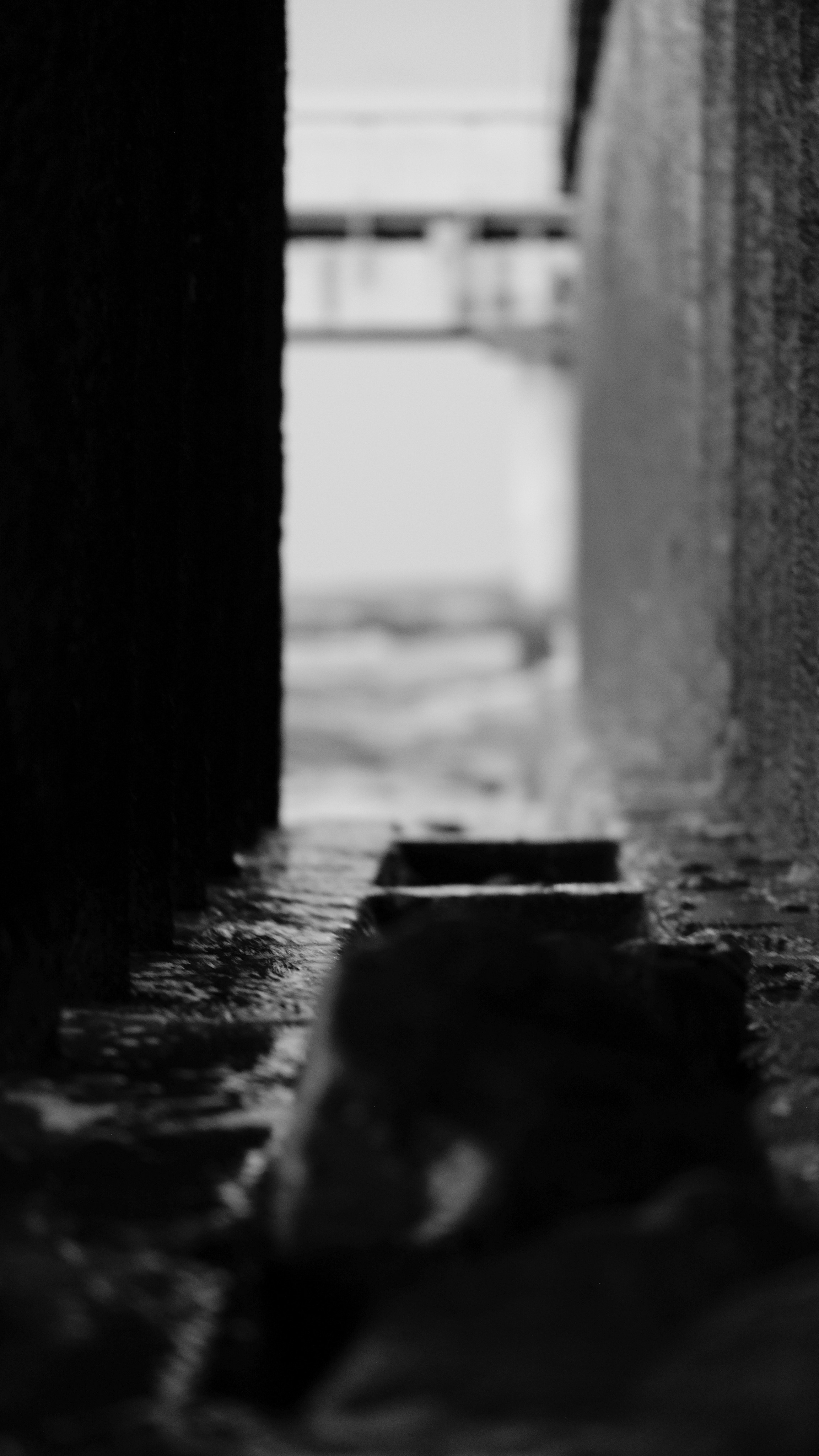 Черно-белое. KRUTOVA_фотографирую жизнь