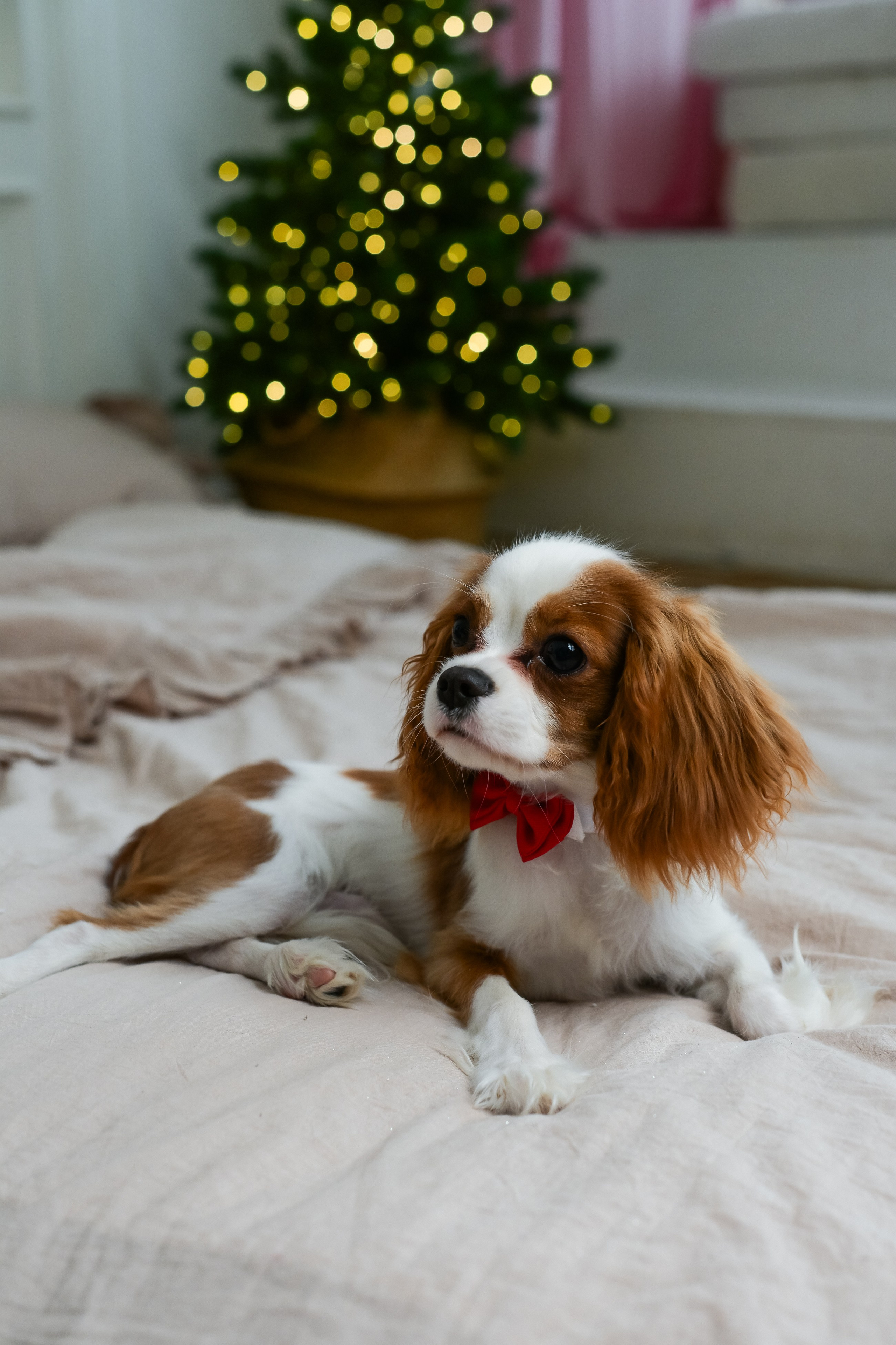 Семья Людмилы, Наиля и Мирры